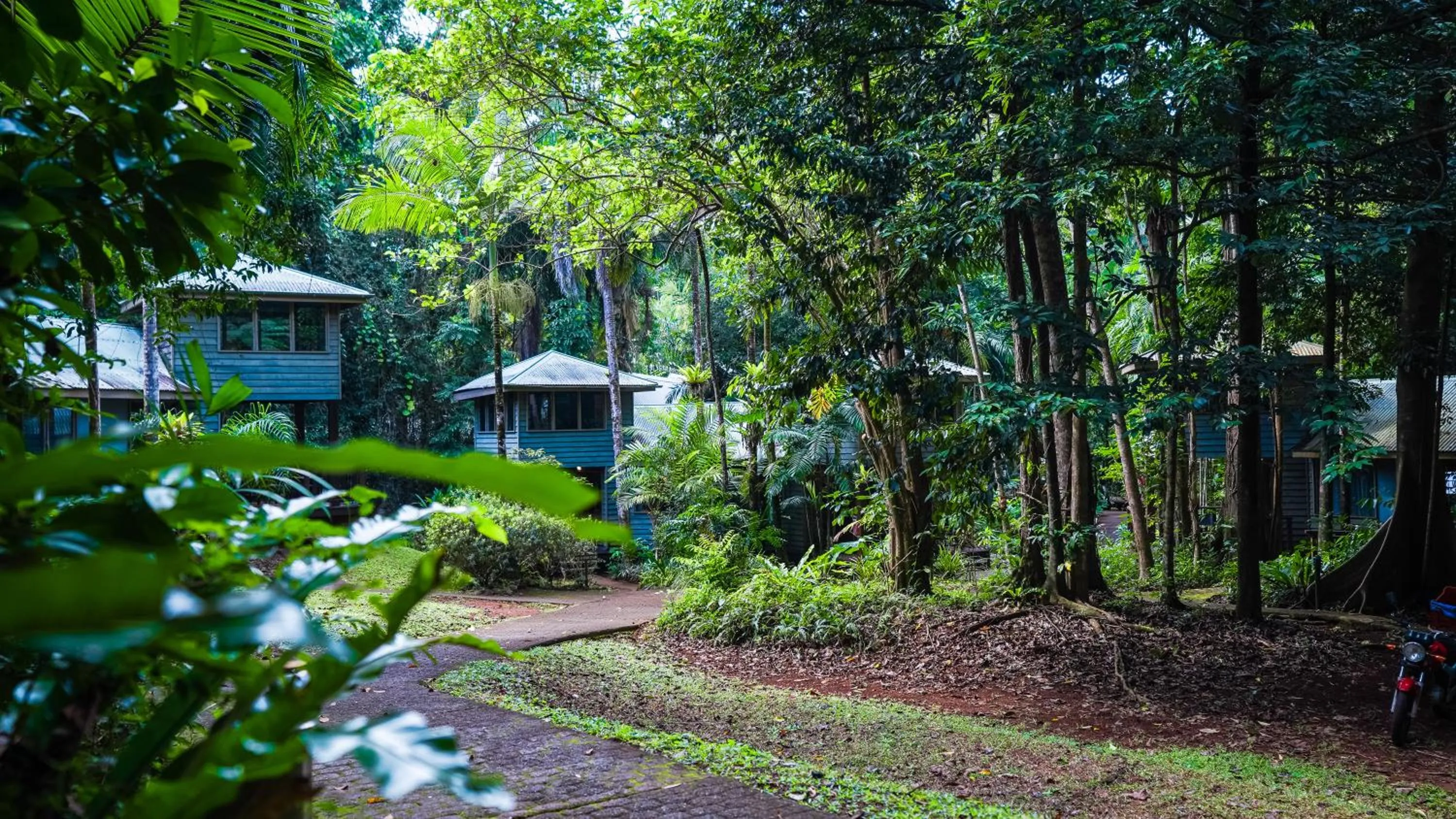 Property building in Ferntree Rainforest Lodge