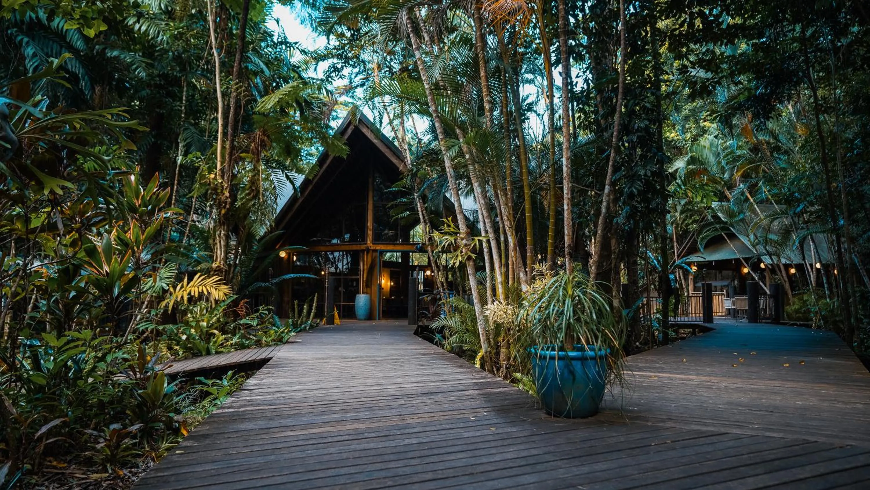 Restaurant/places to eat in Ferntree Rainforest Lodge