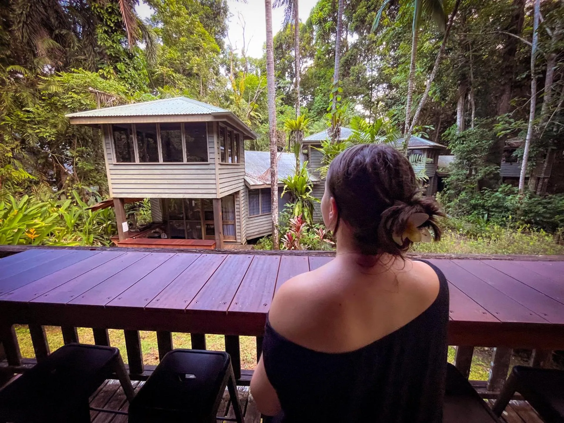 Ferntree Rainforest Lodge