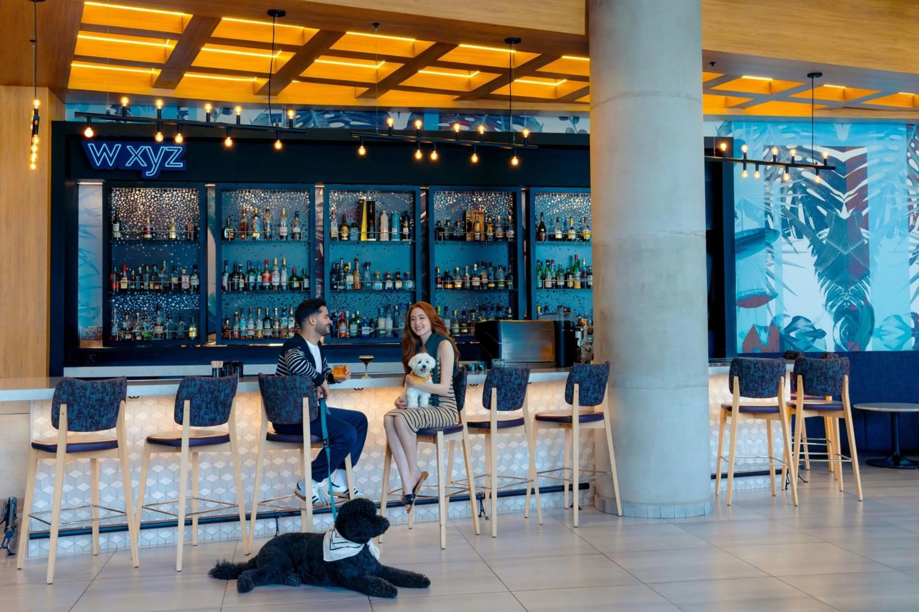 Lounge or bar in Aloft San Juan