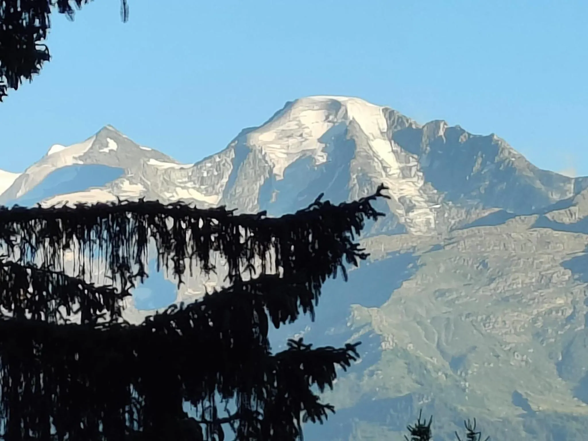 Arche de Noé B&B