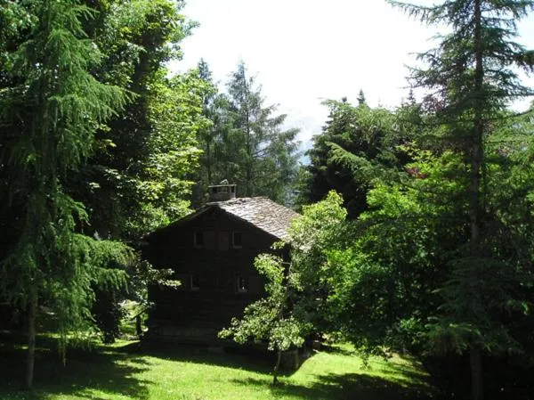 Arche de Noé B&B