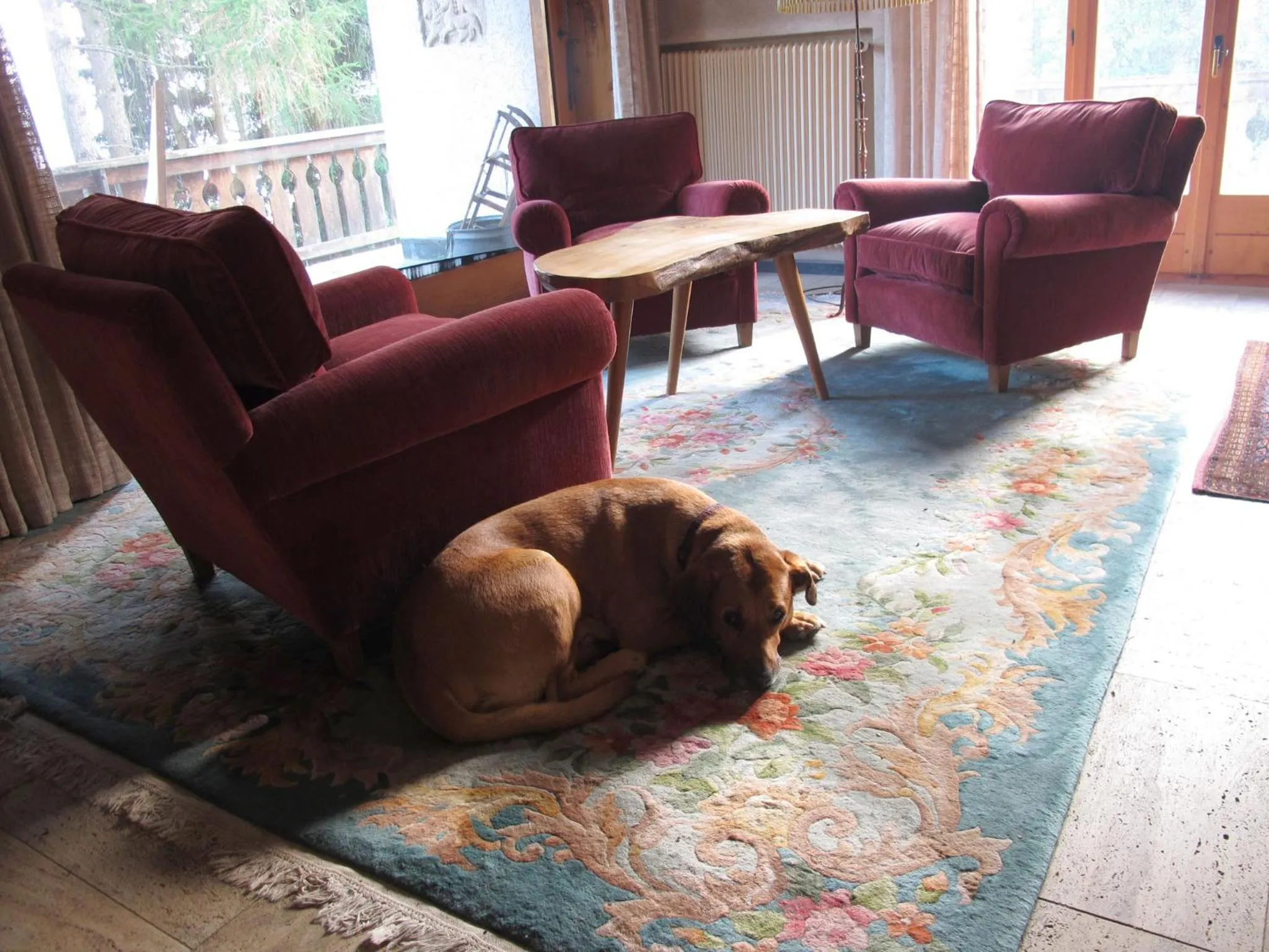 Living room in Arche de Noé B&B