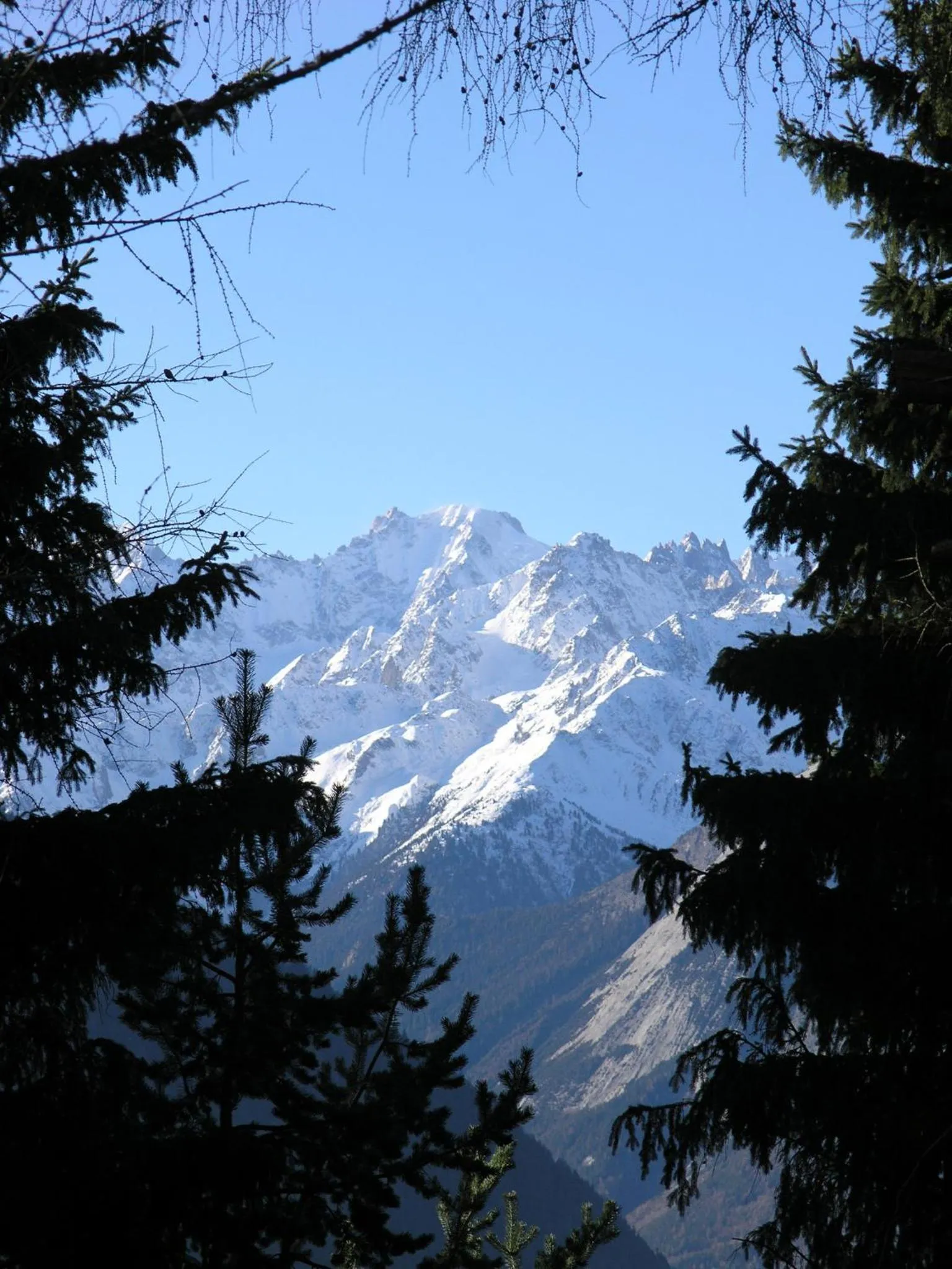 Natural landscape in Arche de Noé B&B