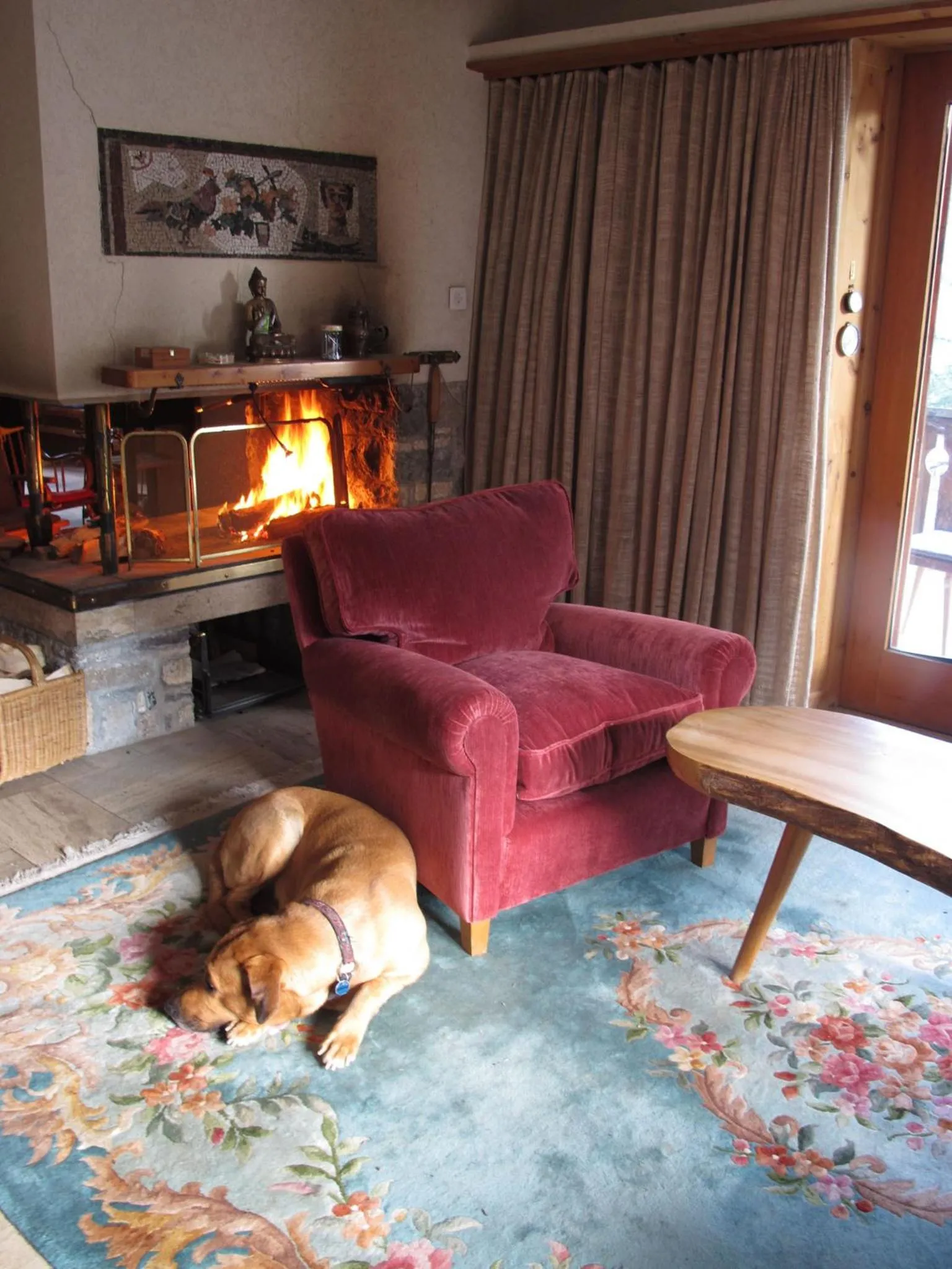 Day in Arche de Noé B&B