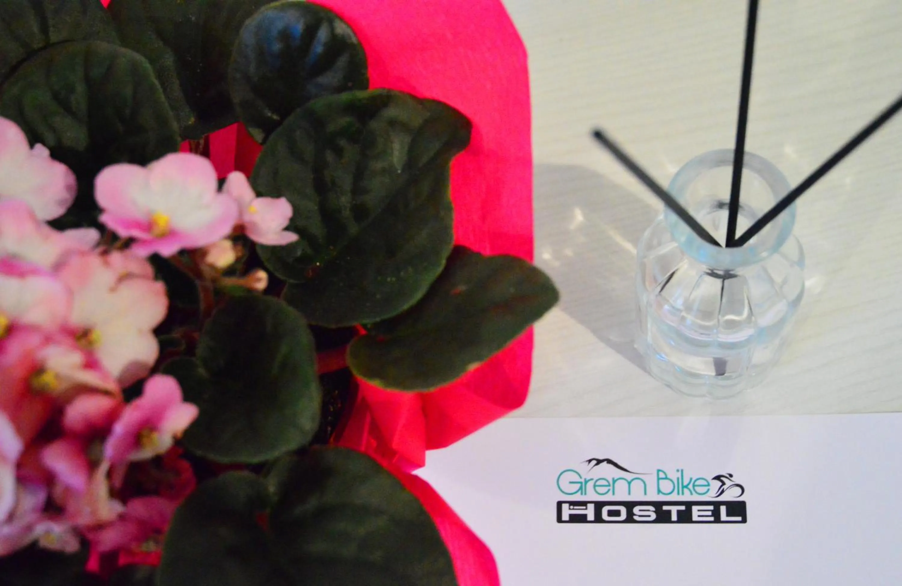 Property logo or sign in Grem Bike Hostel