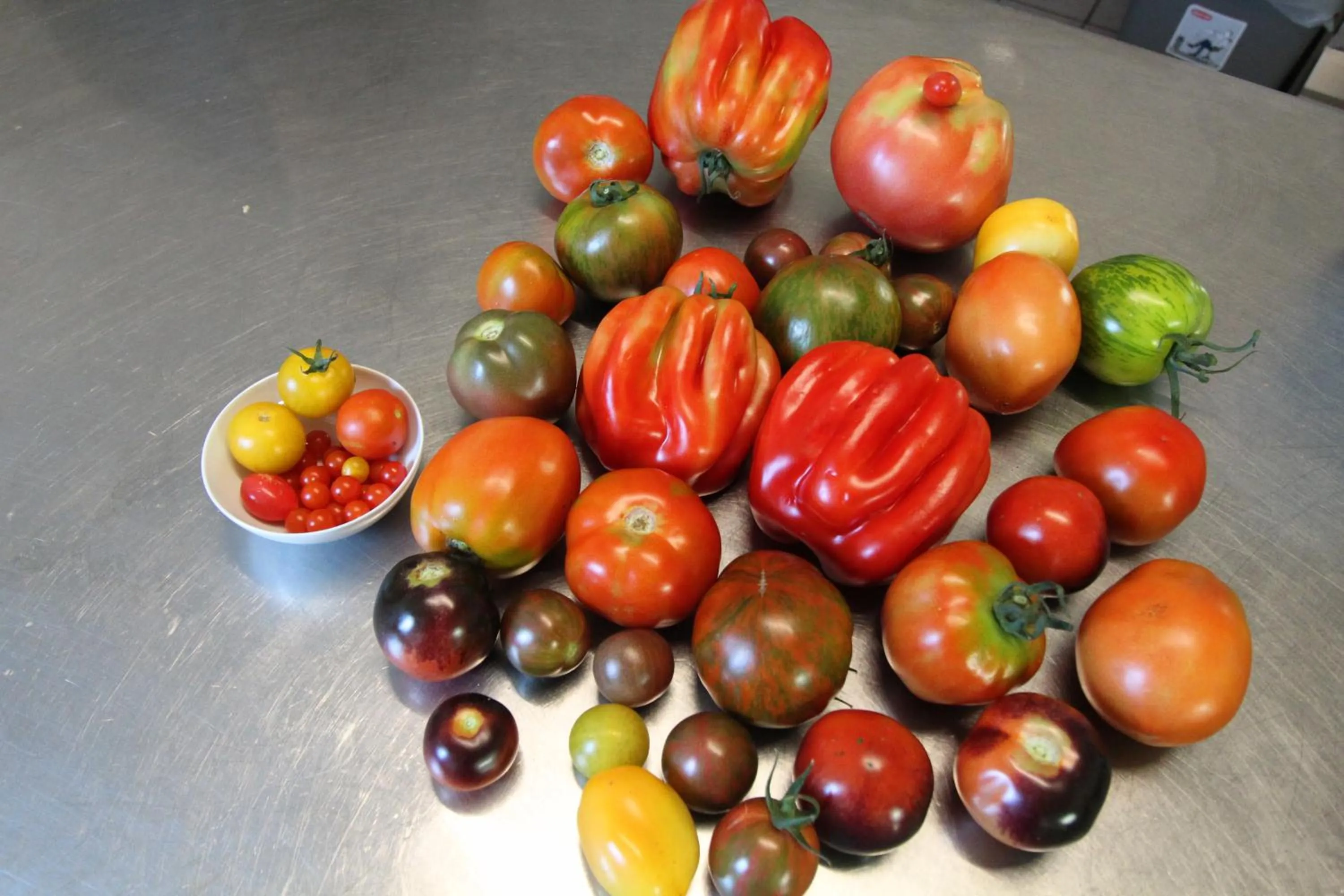 Food and drinks in Hotel-Gasthof Opel Bed & Breakfast