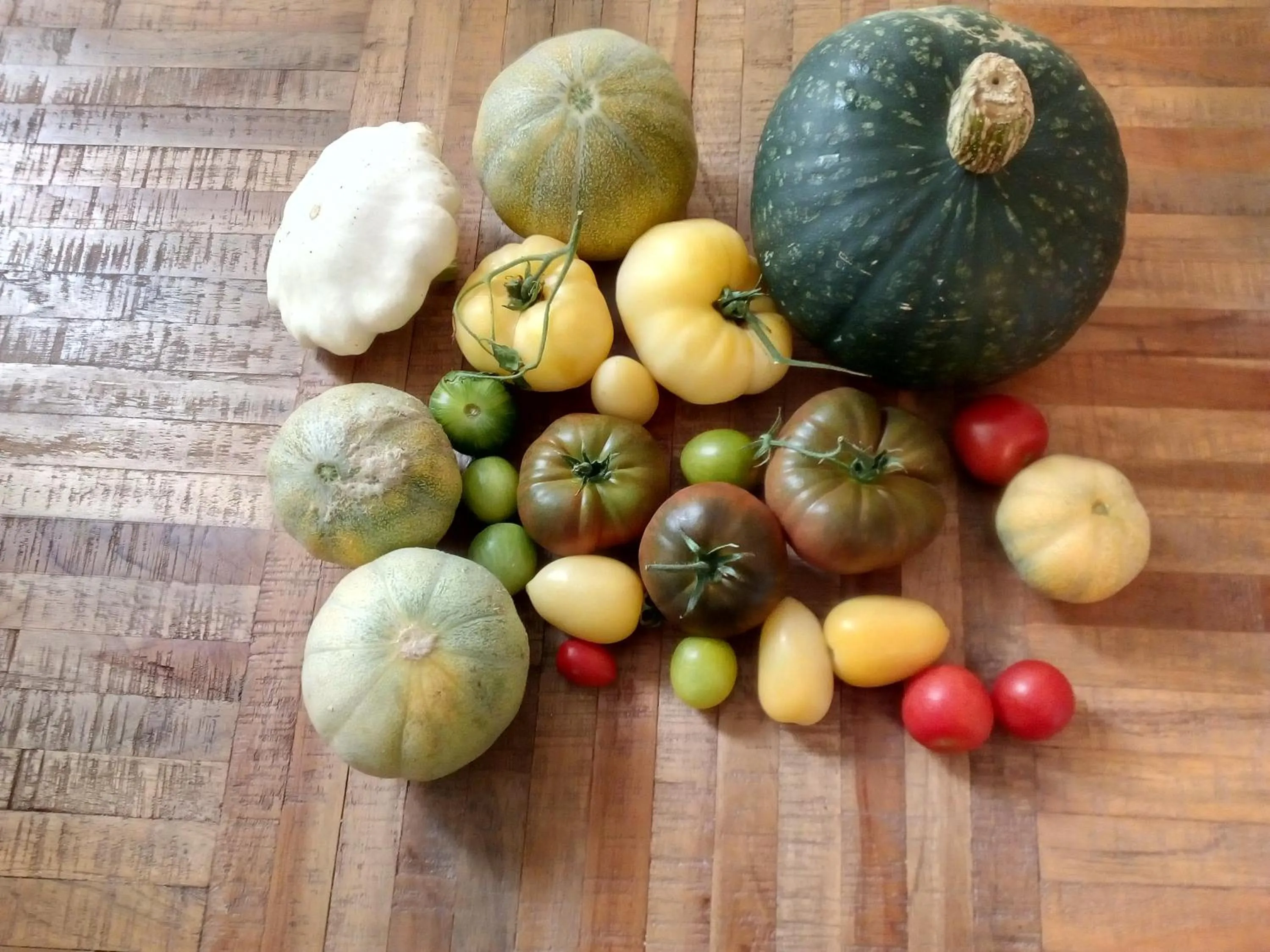 Restaurant/places to eat in Hotel-Gasthof Opel Bed & Breakfast