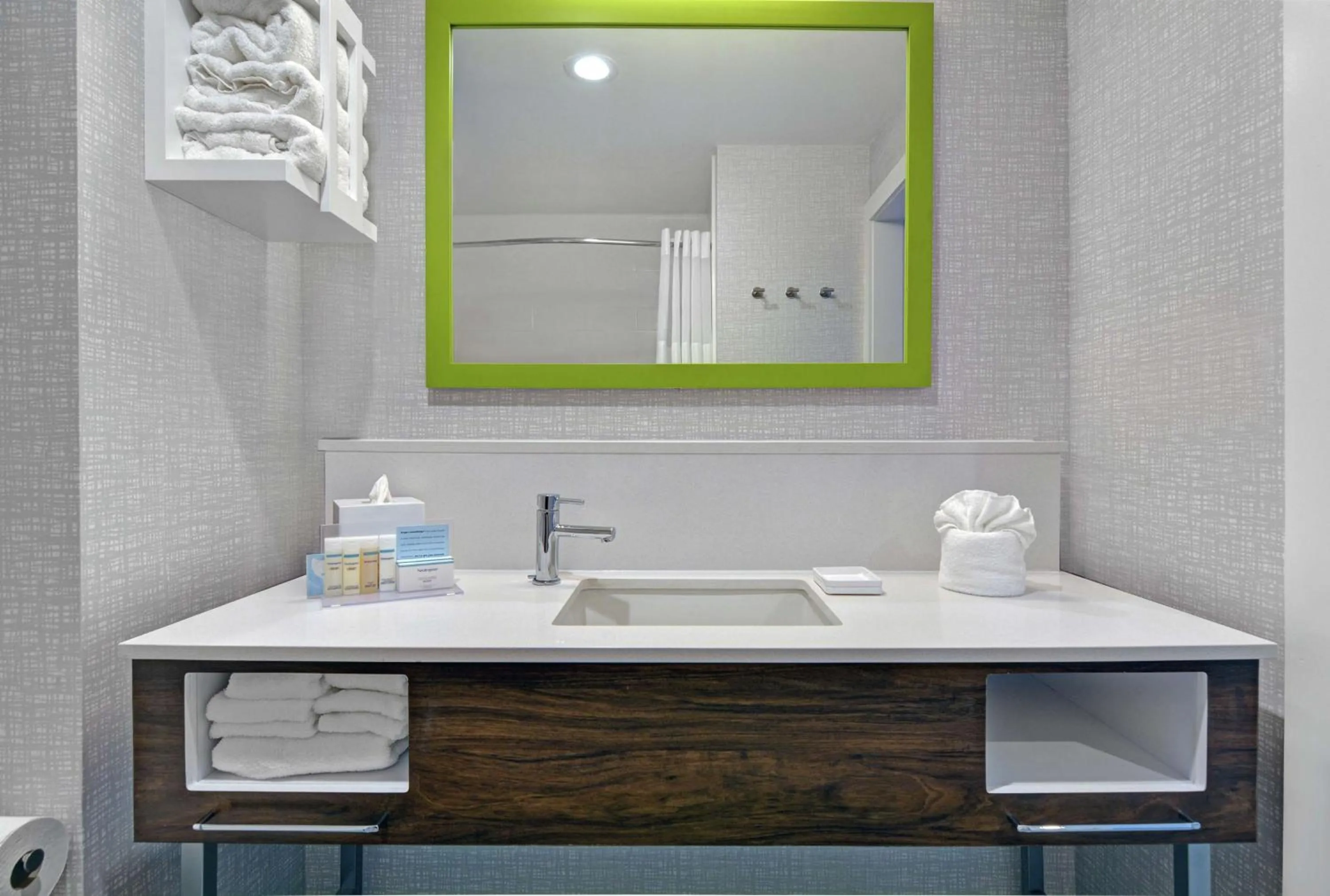 Bathroom in Hampton Inn & Suites Middleburg, Fl