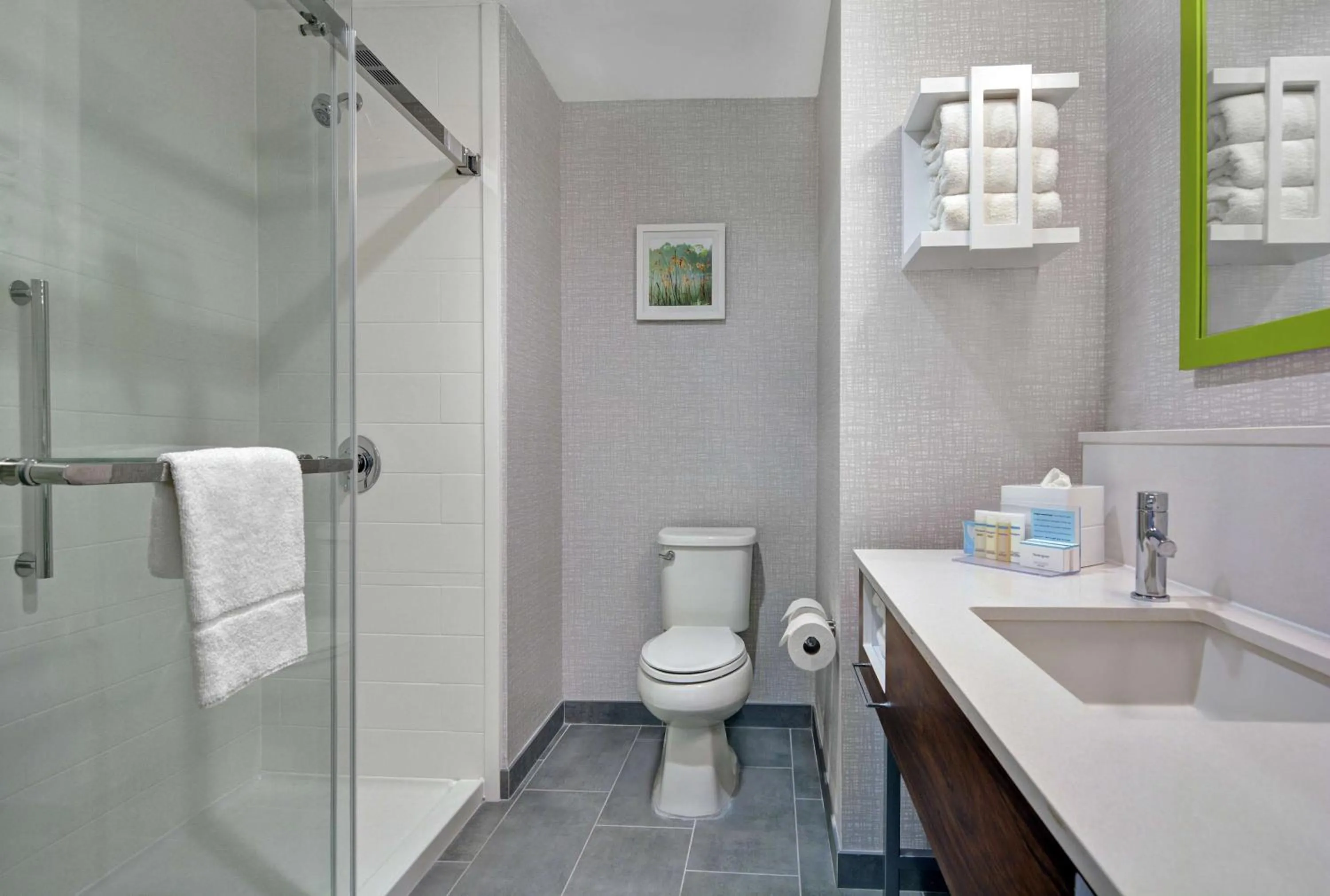 Bathroom in Hampton Inn & Suites Middleburg, Fl