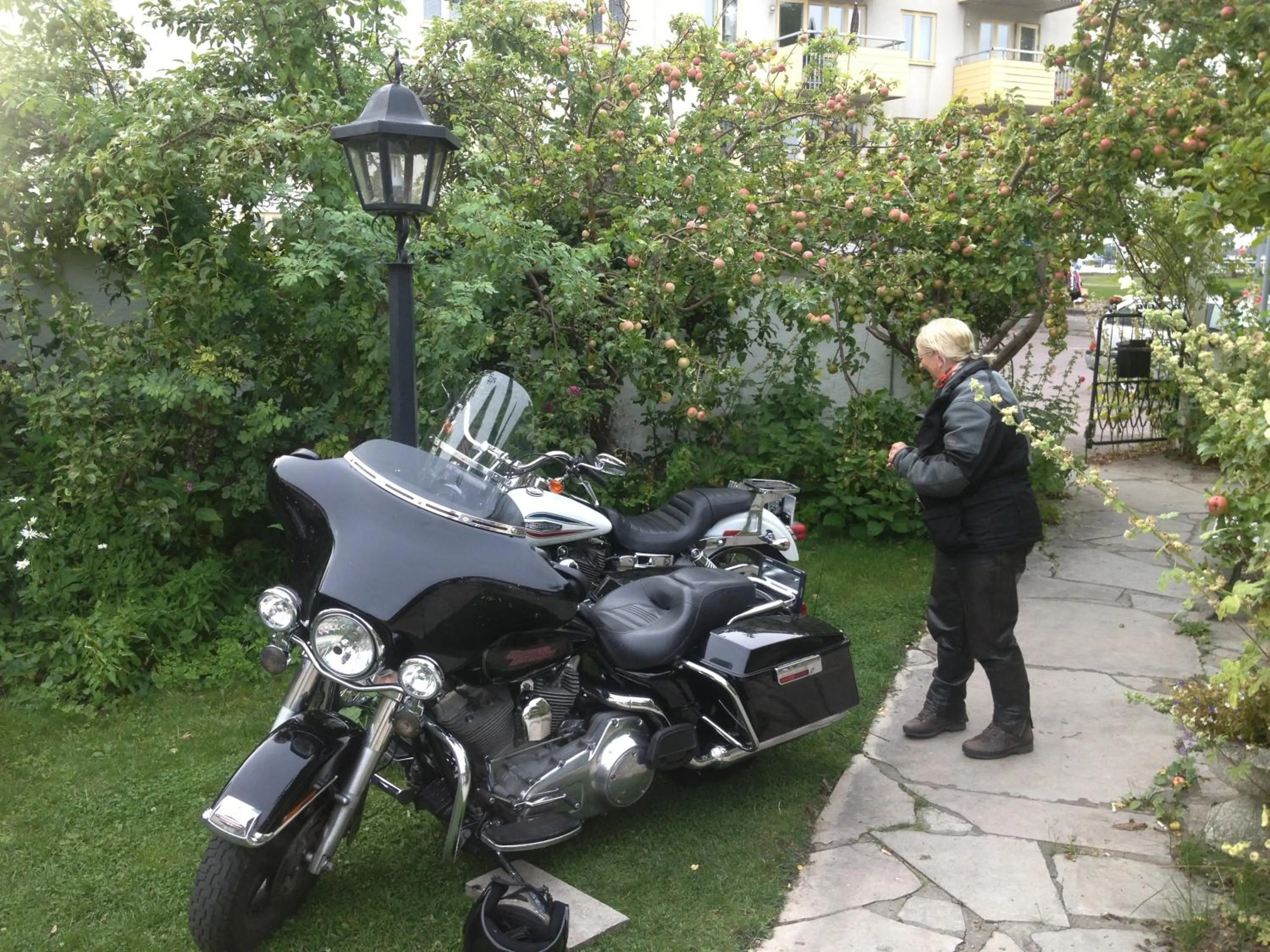 Activities in Villa Verdi