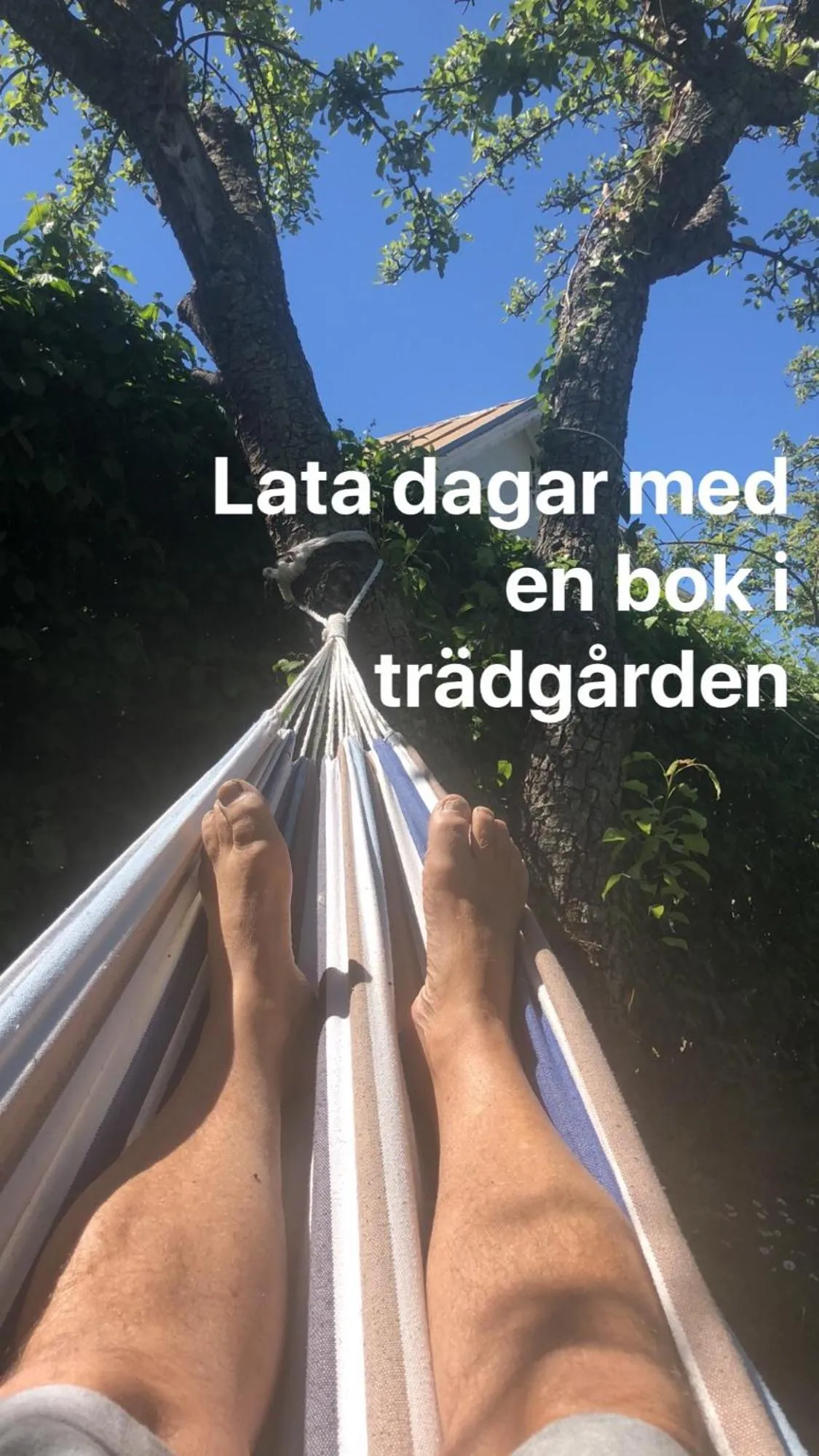 Garden in Villa Verdi