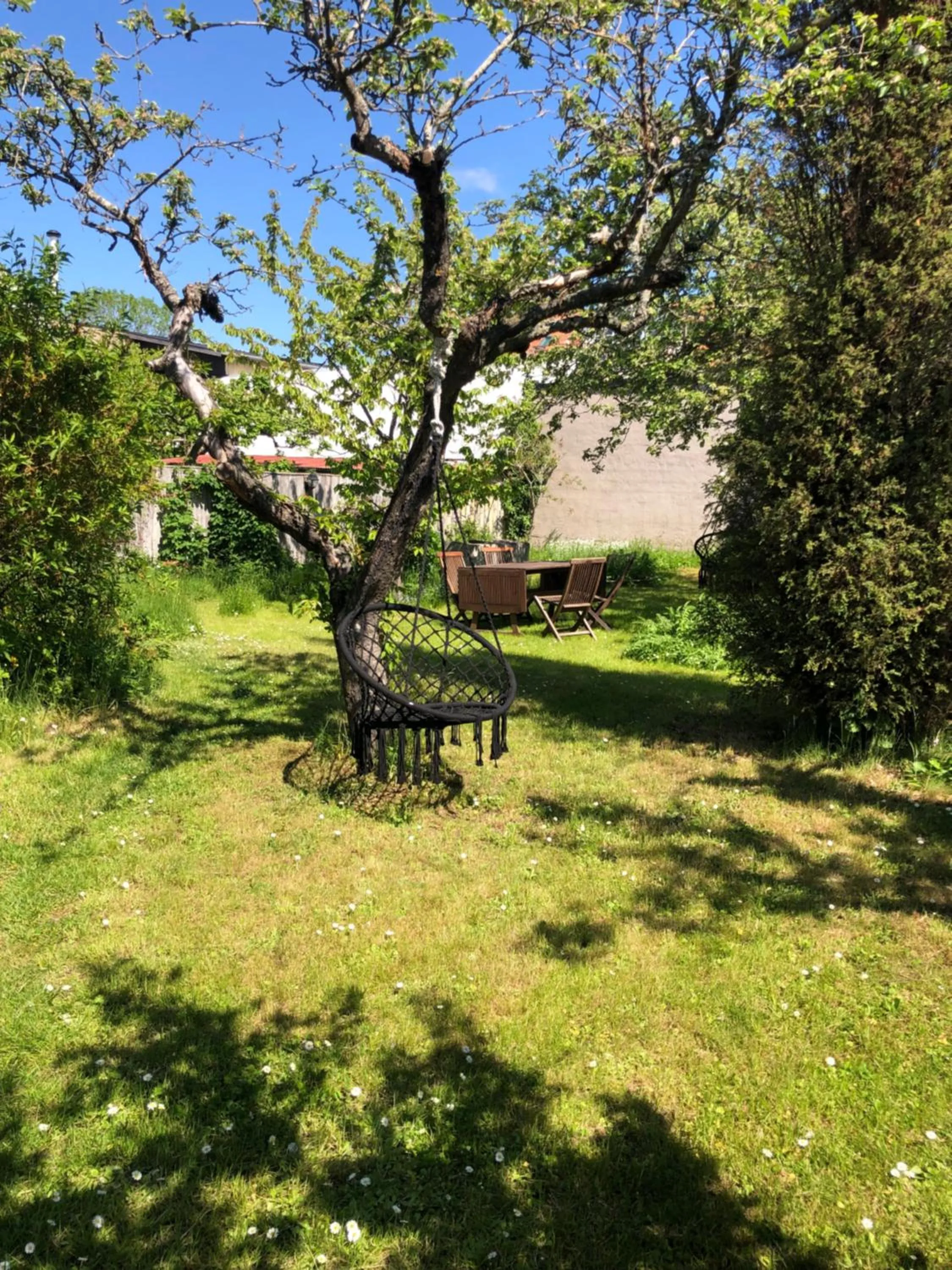 Garden in Villa Verdi