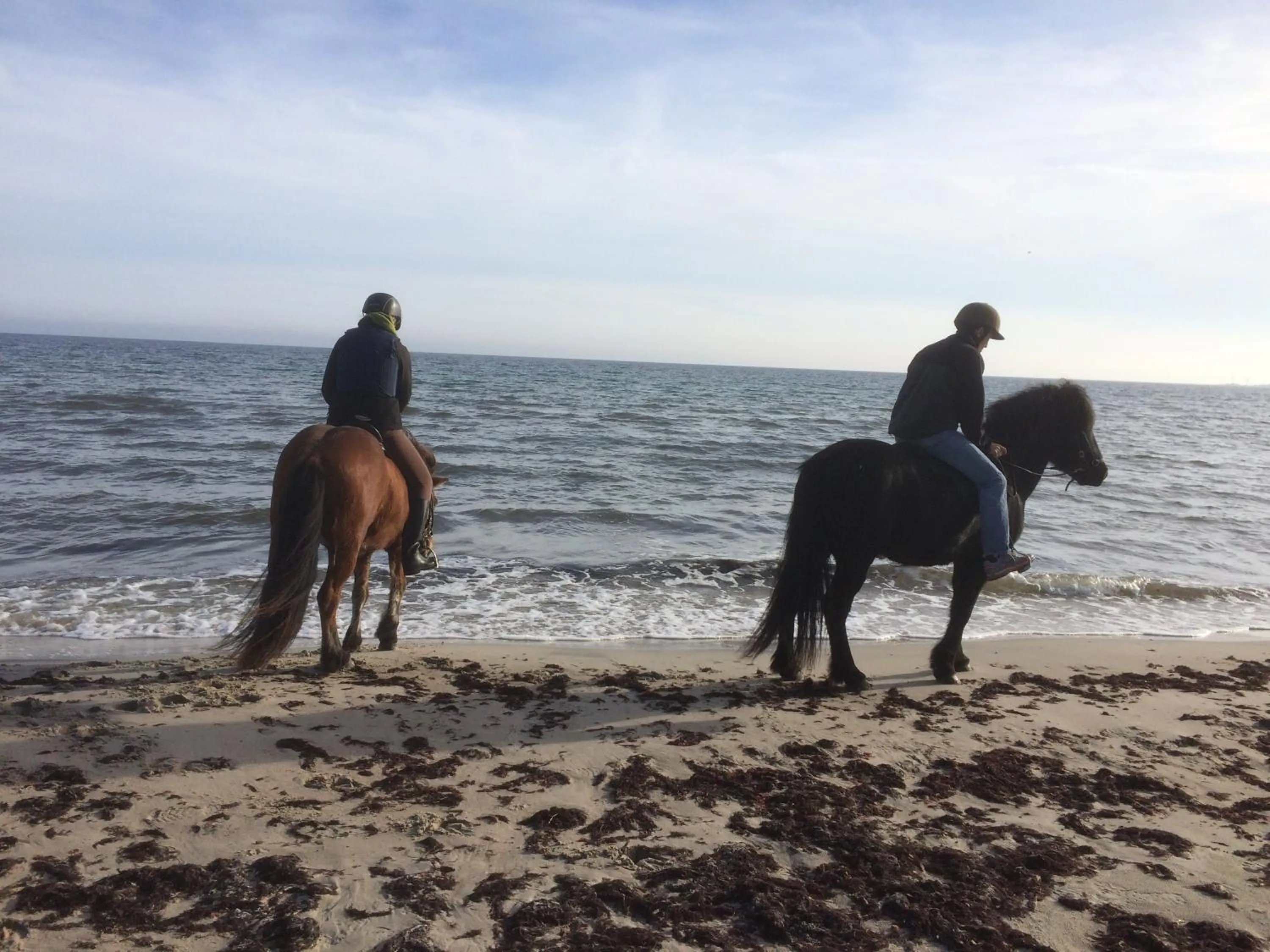 Horse-riding in Villa Verdi