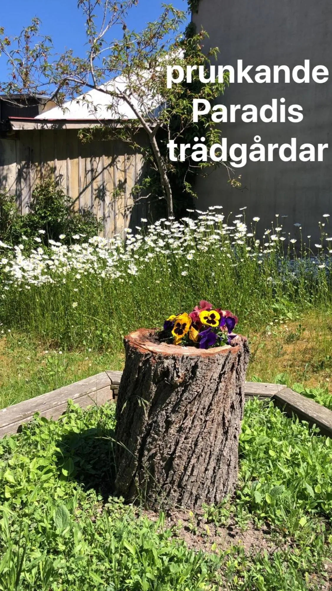 Garden in Villa Verdi