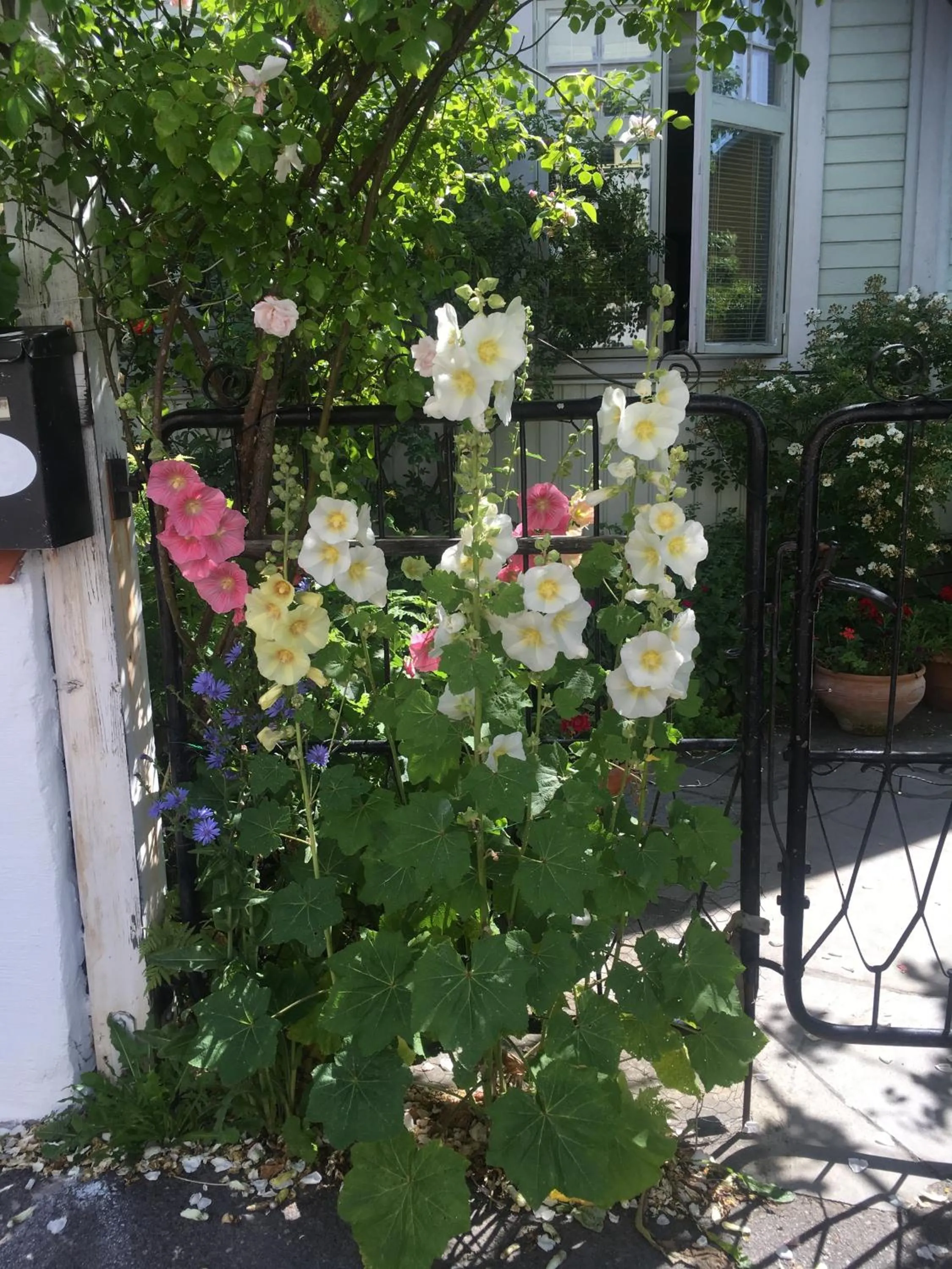 Nearby landmark in Villa Verdi