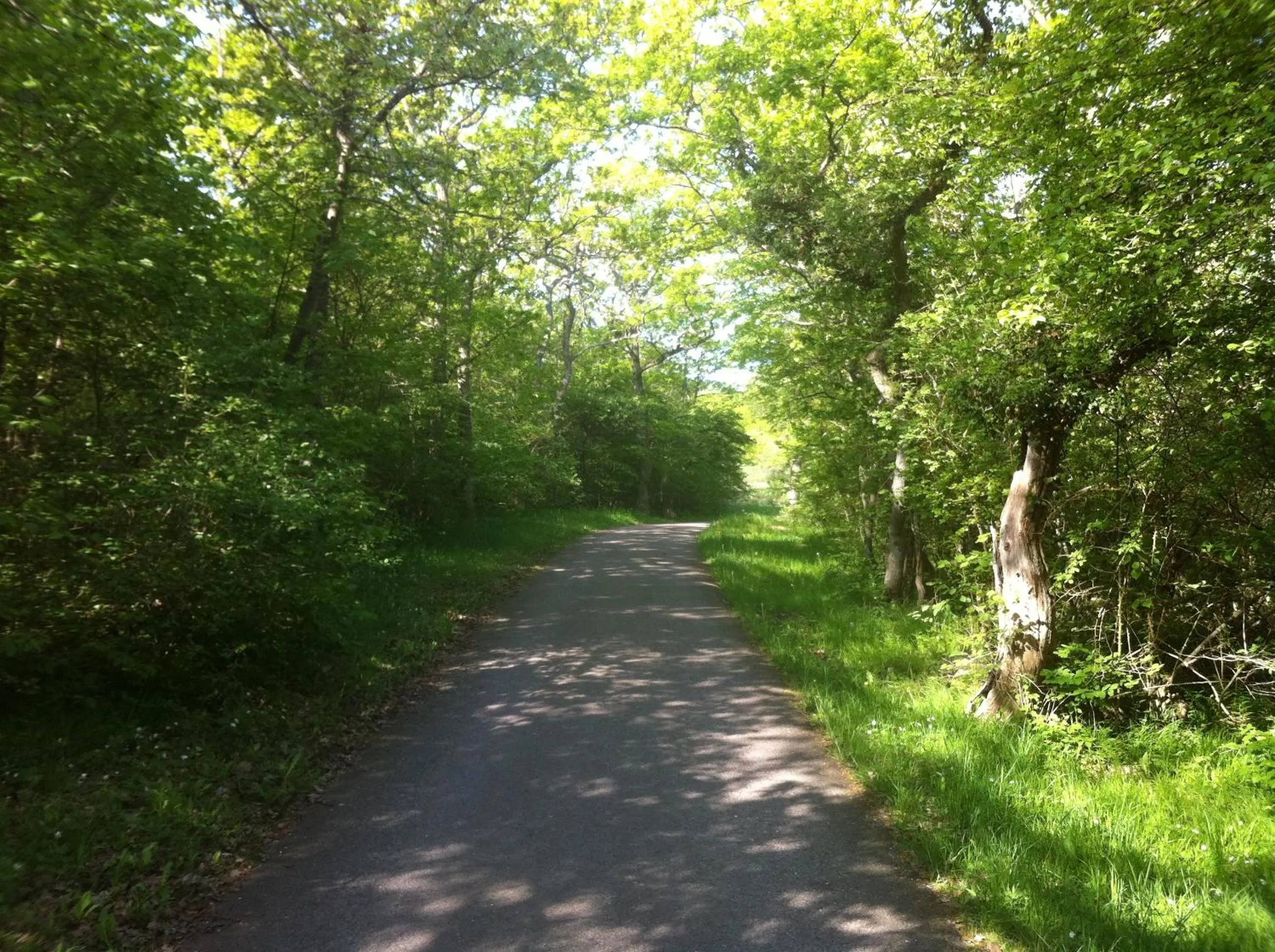 Natural landscape in Villa Verdi