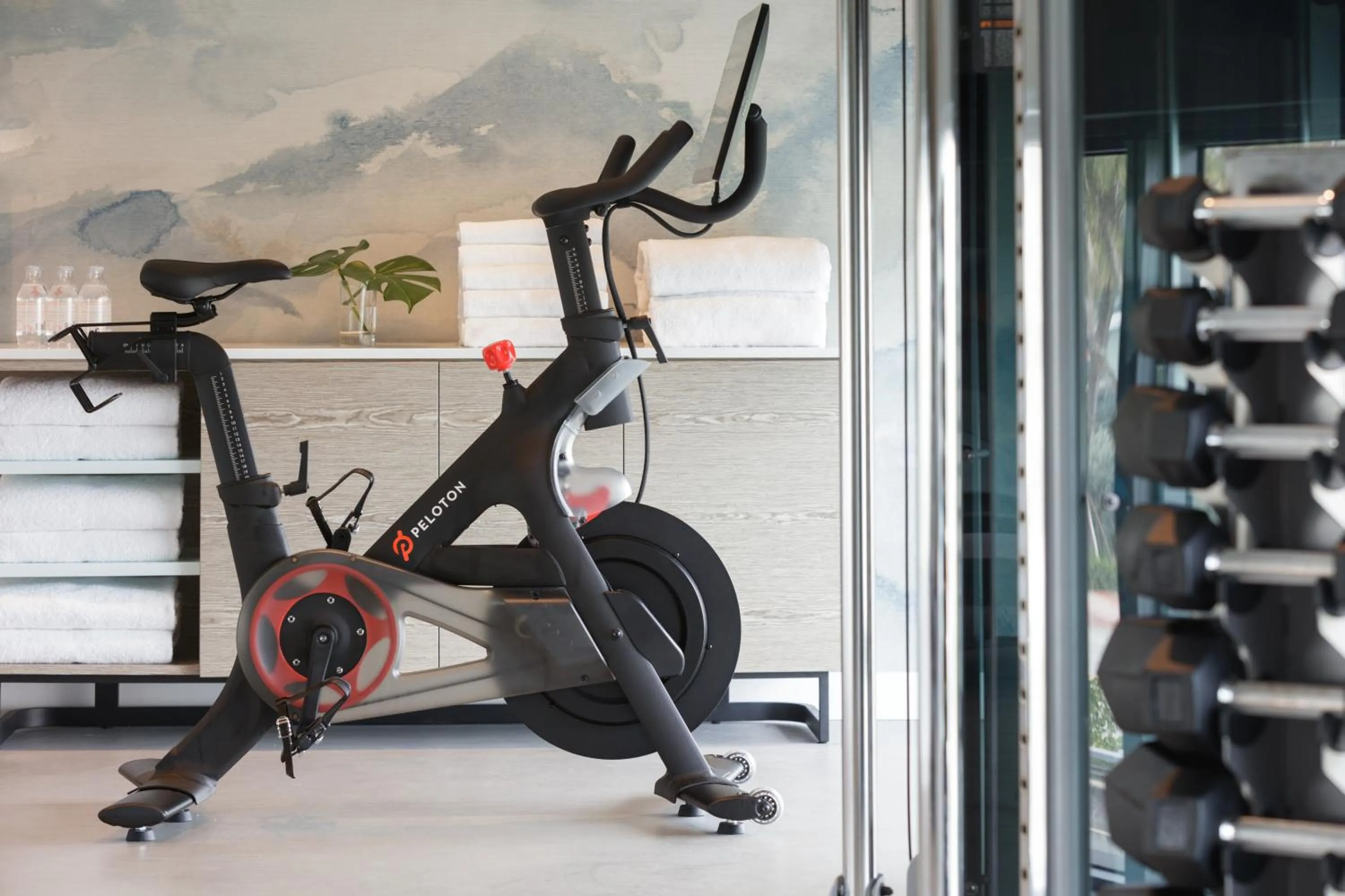 Fitness centre/facilities in Kimpton - Hotel Palomar South Beach by IHG