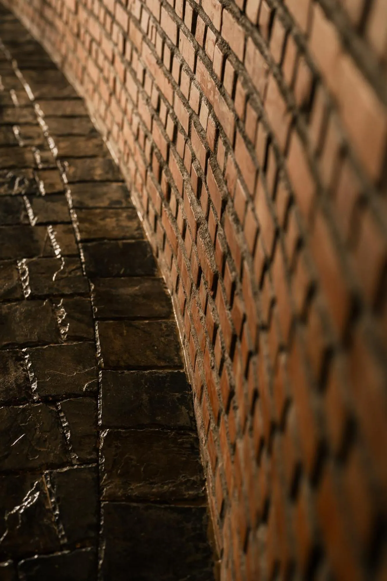 Photo of the whole room in The Light