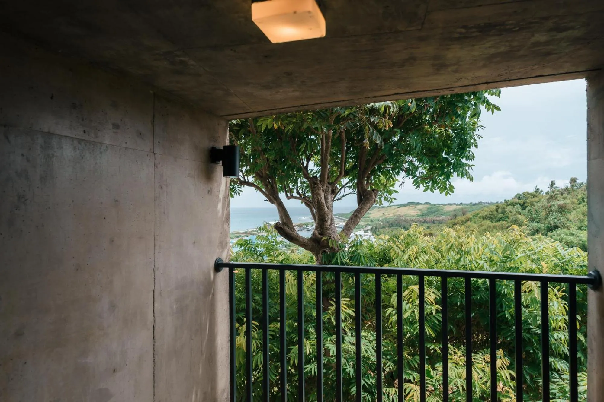 Natural landscape in The Light