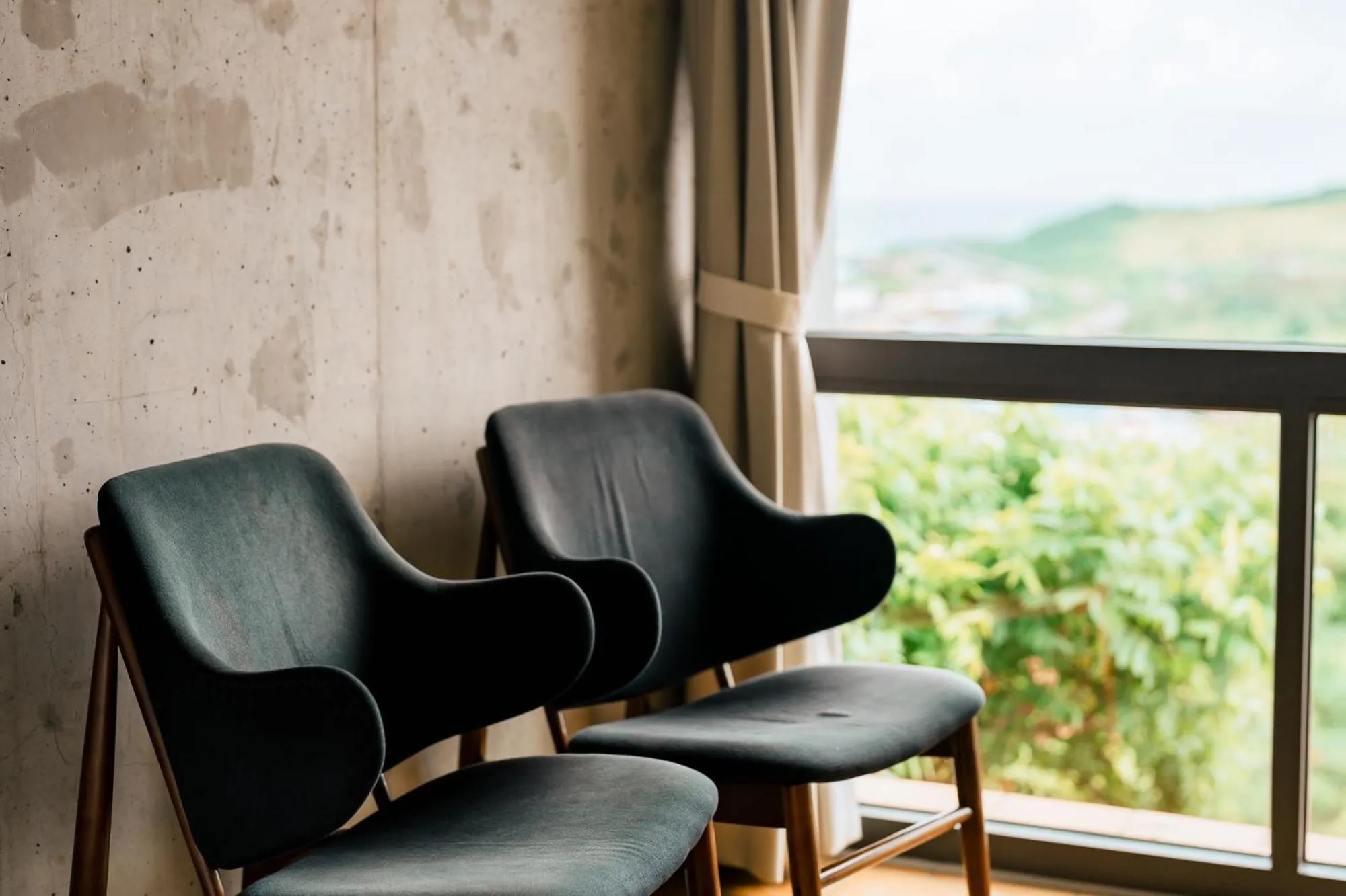 Natural landscape in The Light