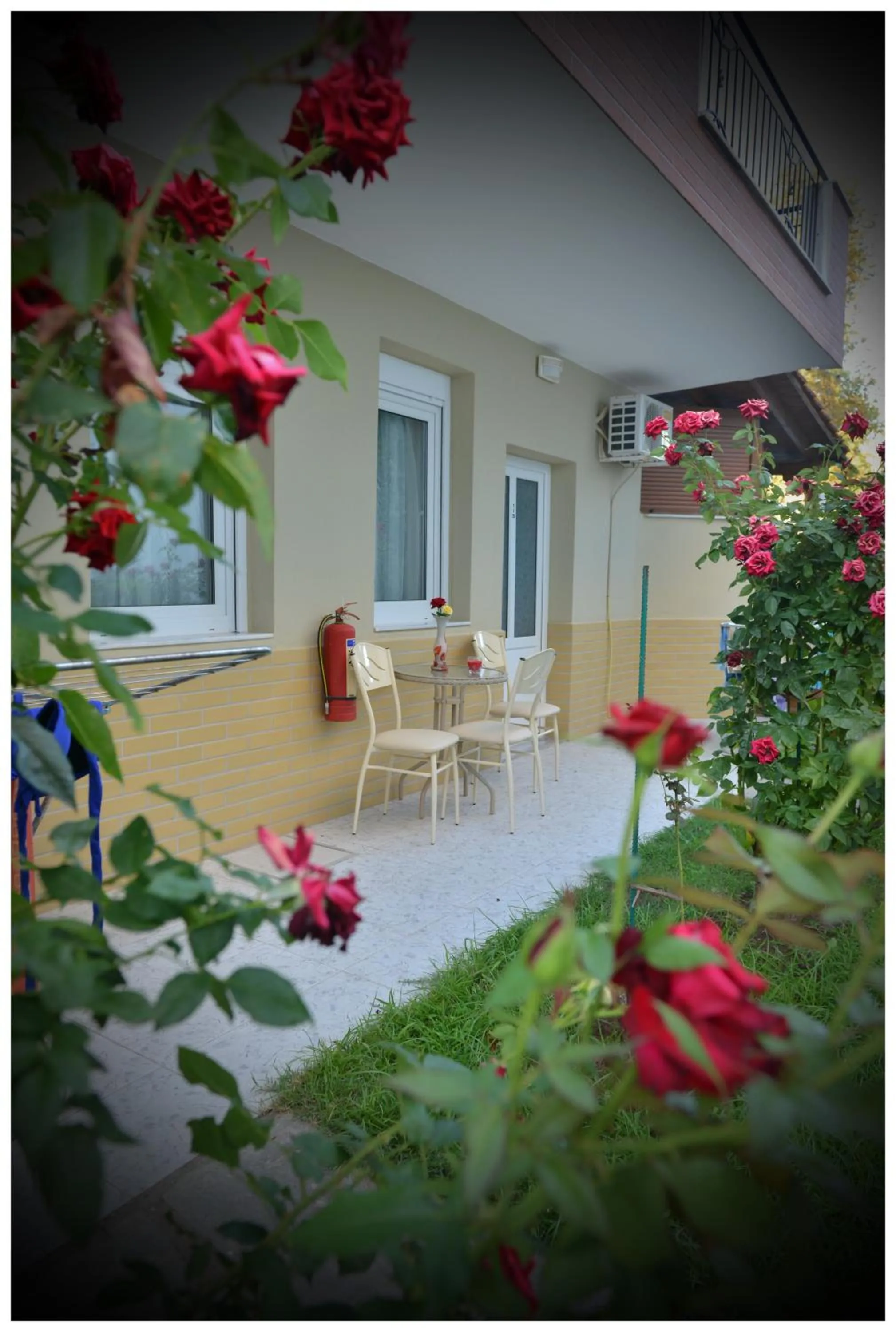 Garden in Anna Christina Apartments