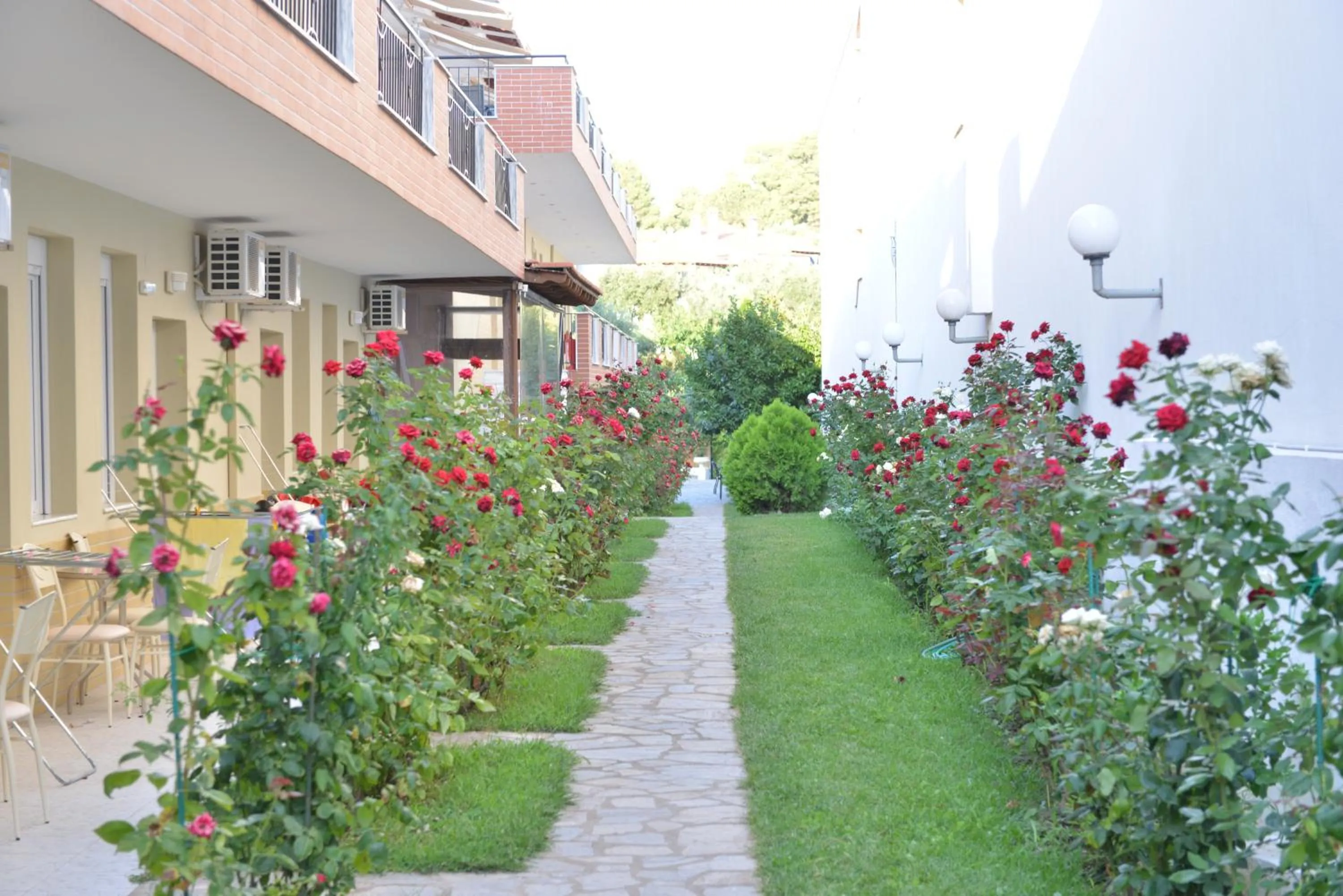 Garden in Anna Christina Apartments