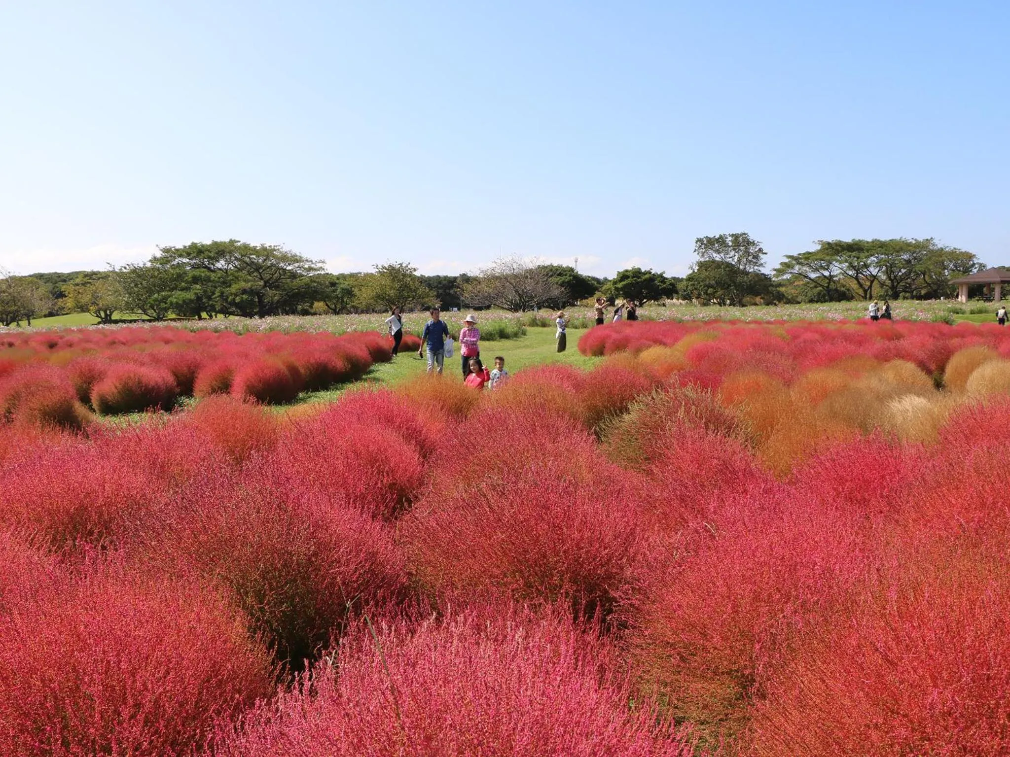 The Luigans Spa and Resort