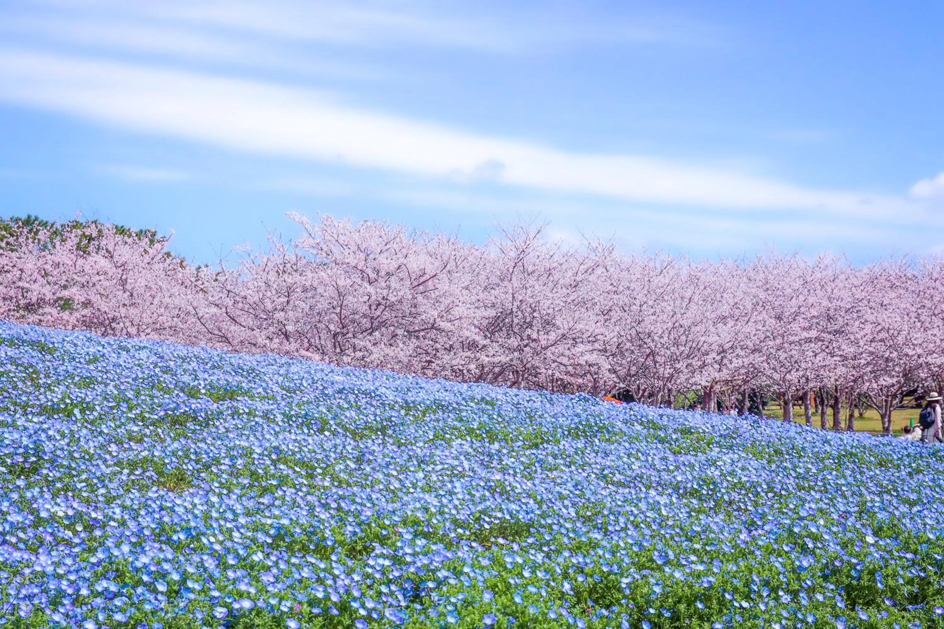 The Luigans Spa and Resort