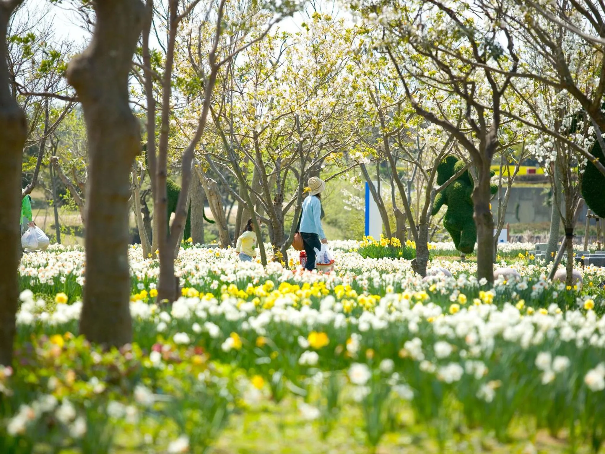 The Luigans Spa and Resort