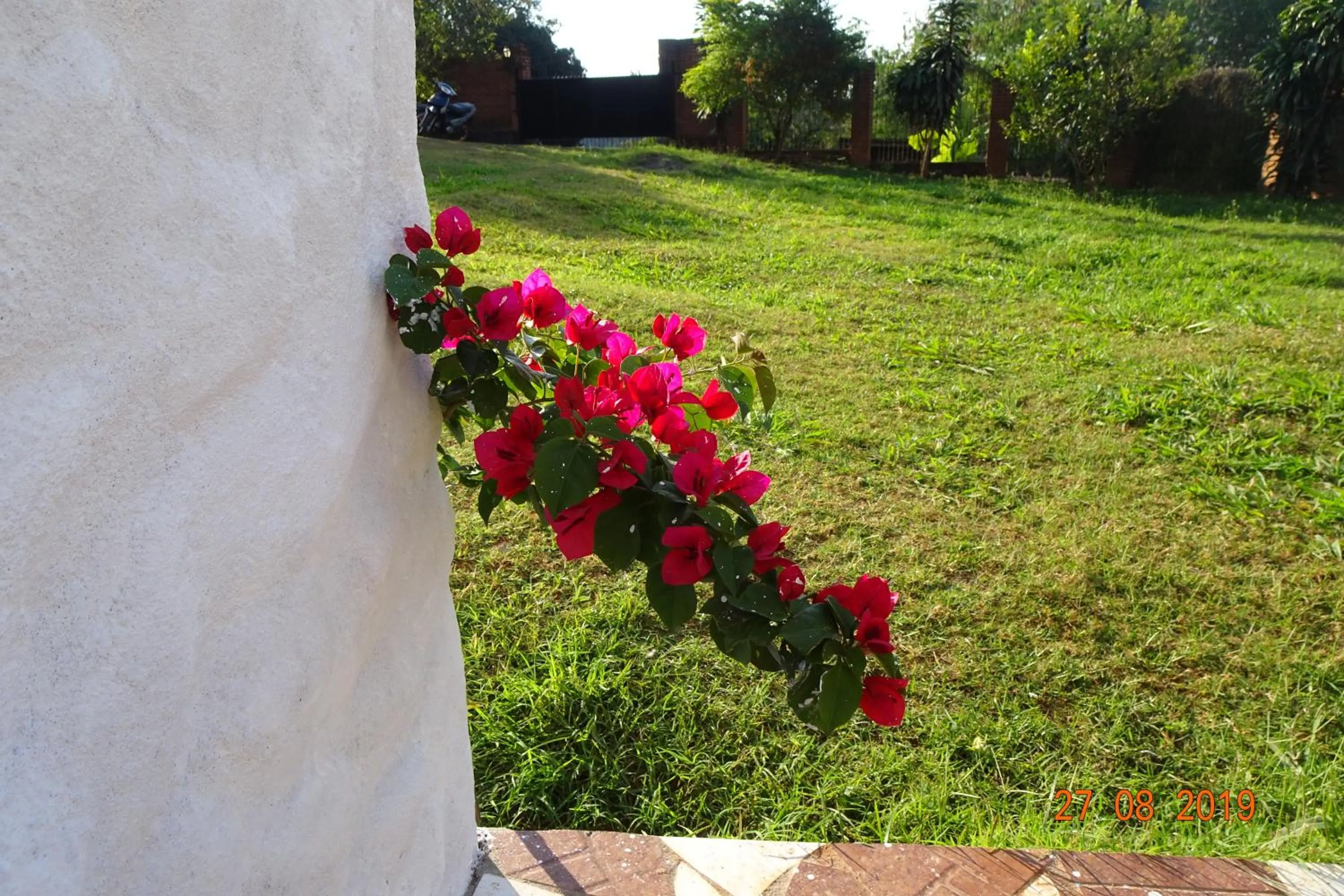 Garden in Mediterráneo Suites
