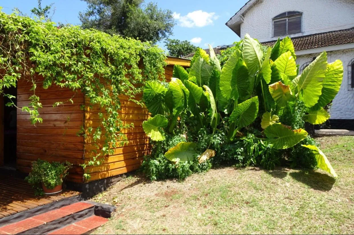 Mediterráneo Suites