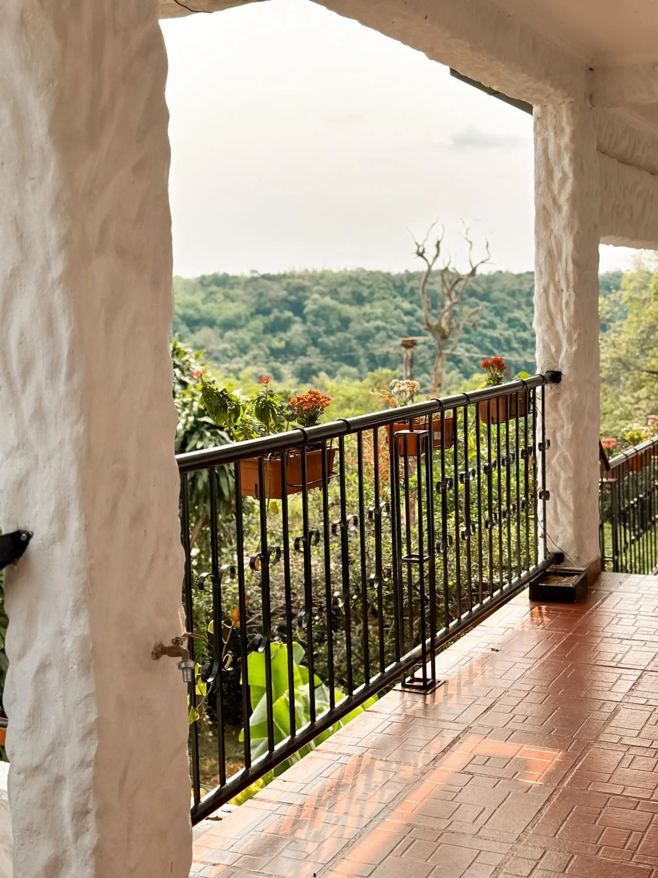 Mediterráneo Suites