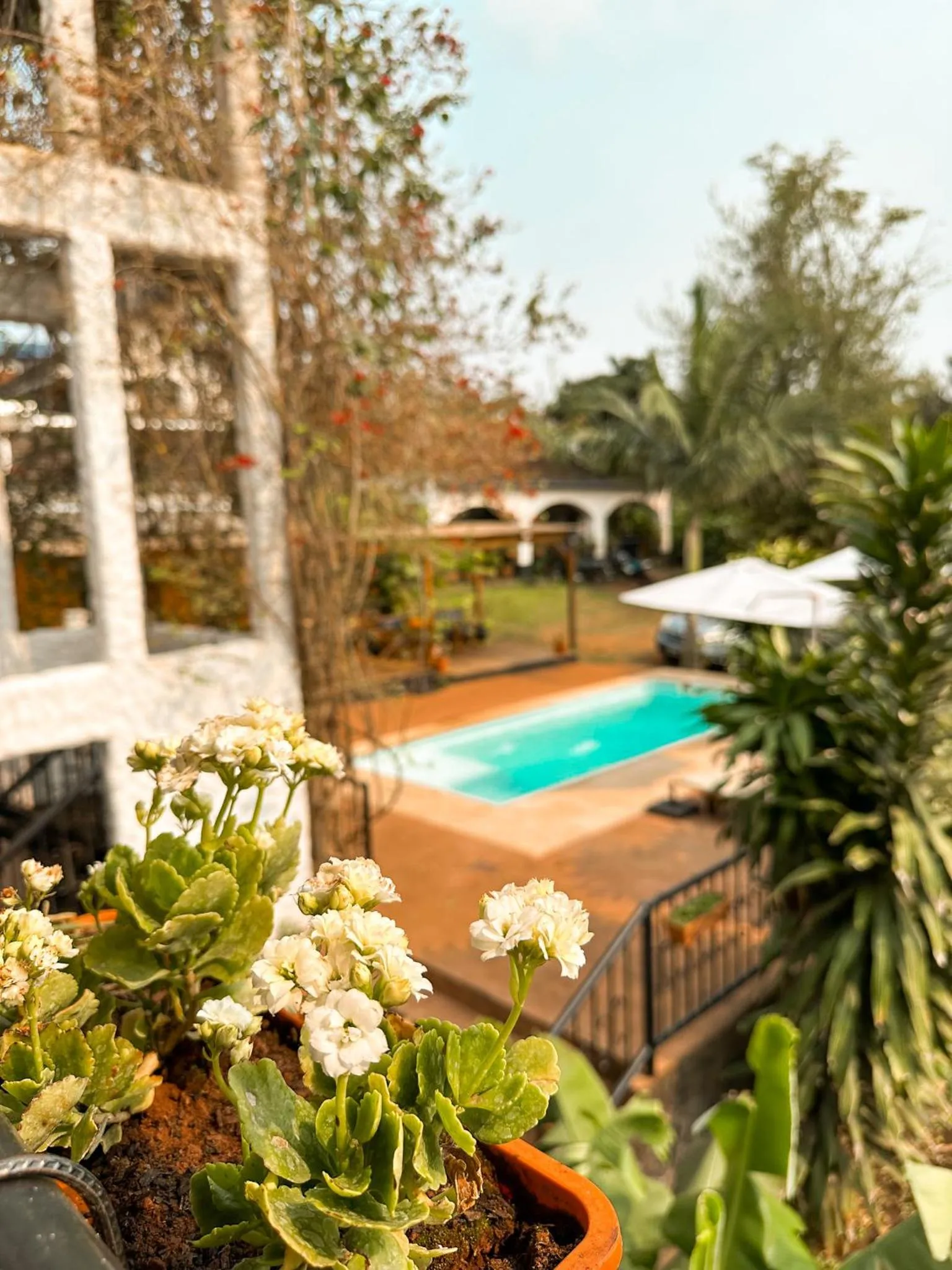 Mediterráneo Suites