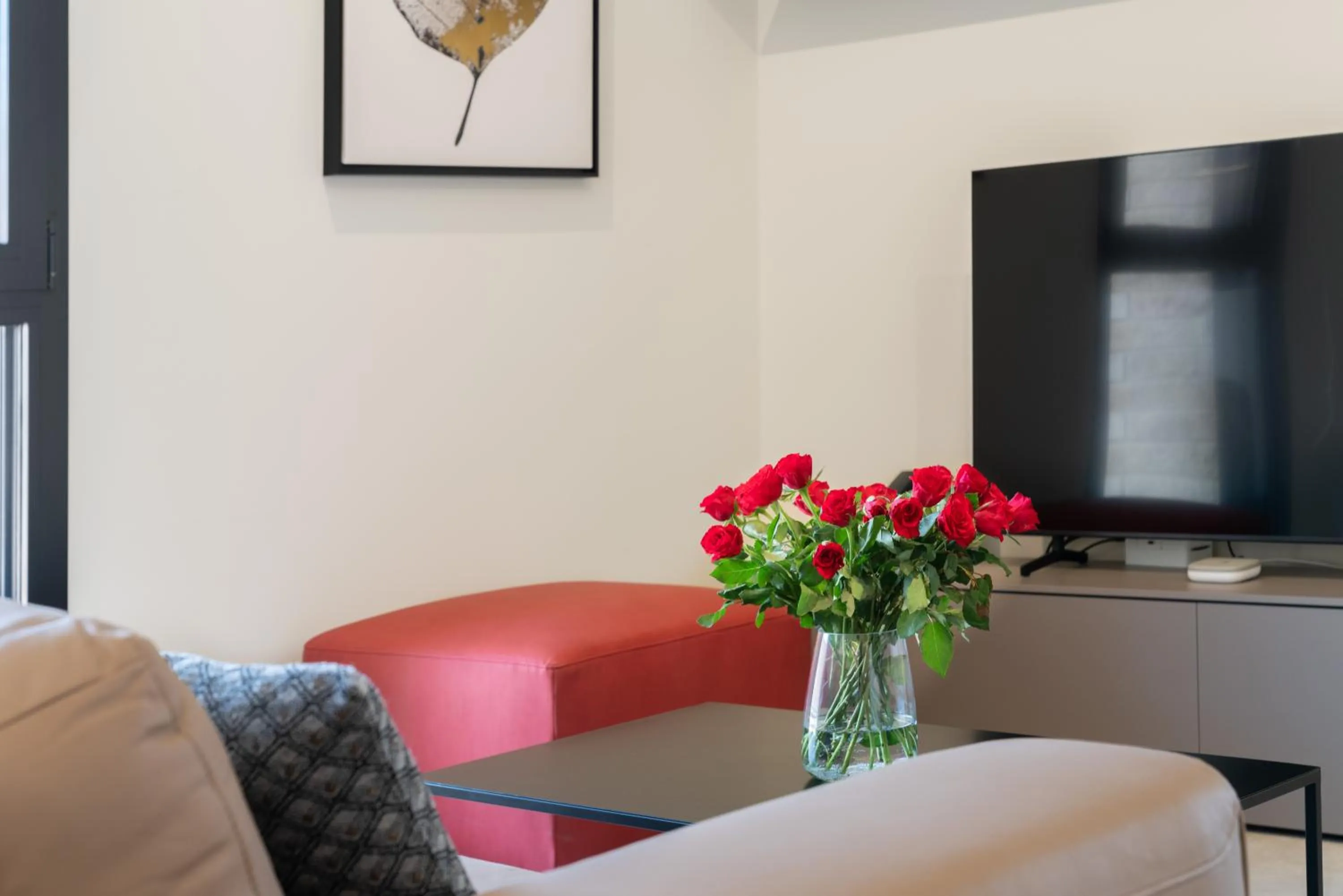 TV and multimedia in Swiss Hotel Apartments - Lugano