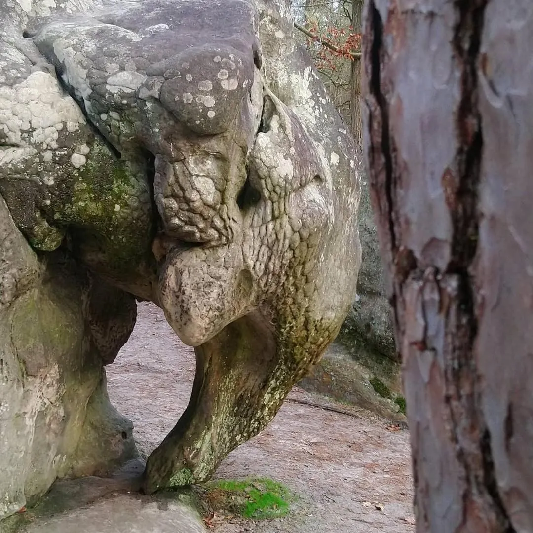 Natural landscape in La Bastide de Barbizon