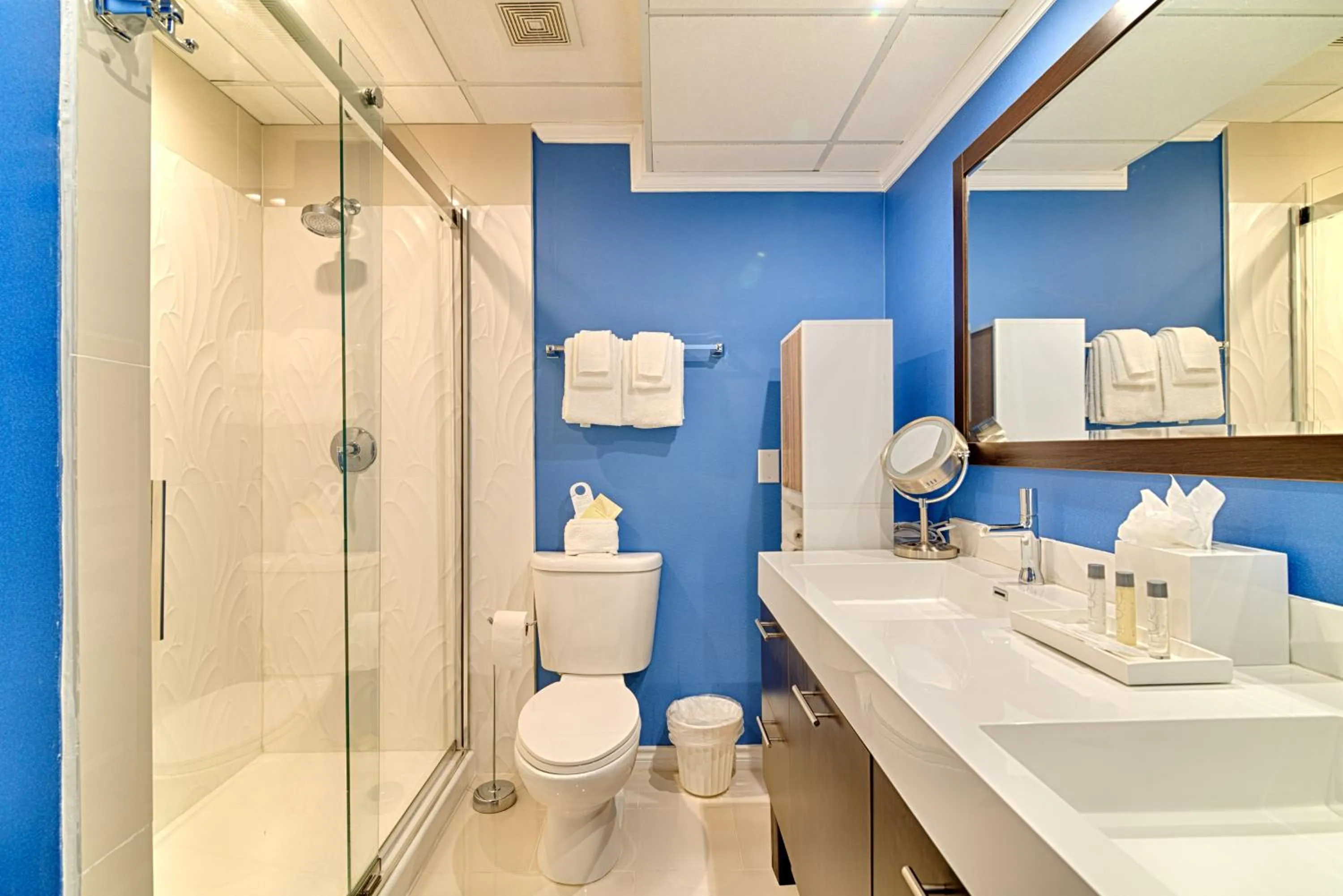 Shower in Riverwalk Plaza Hotel