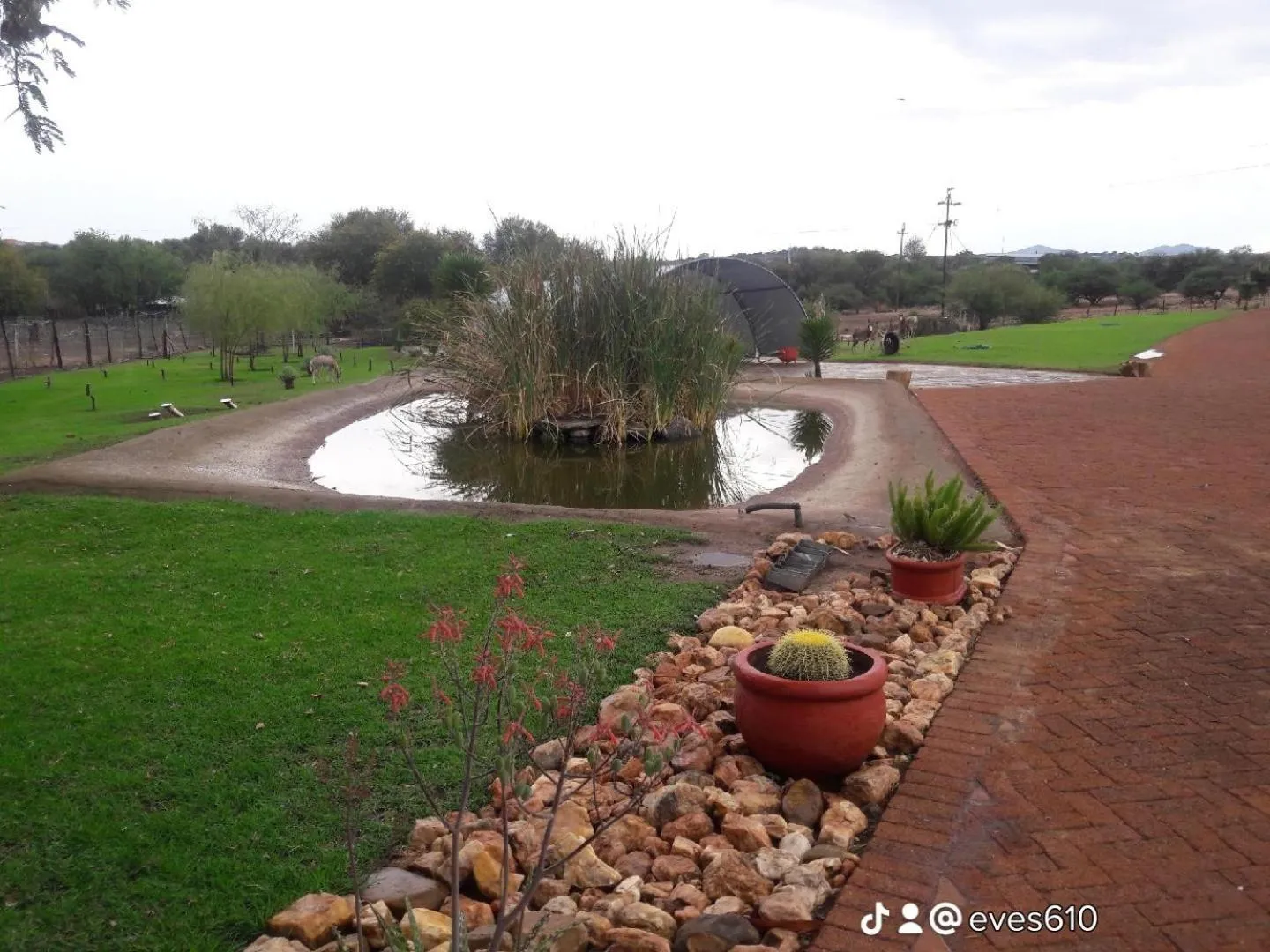 Property building in Eden Chalets