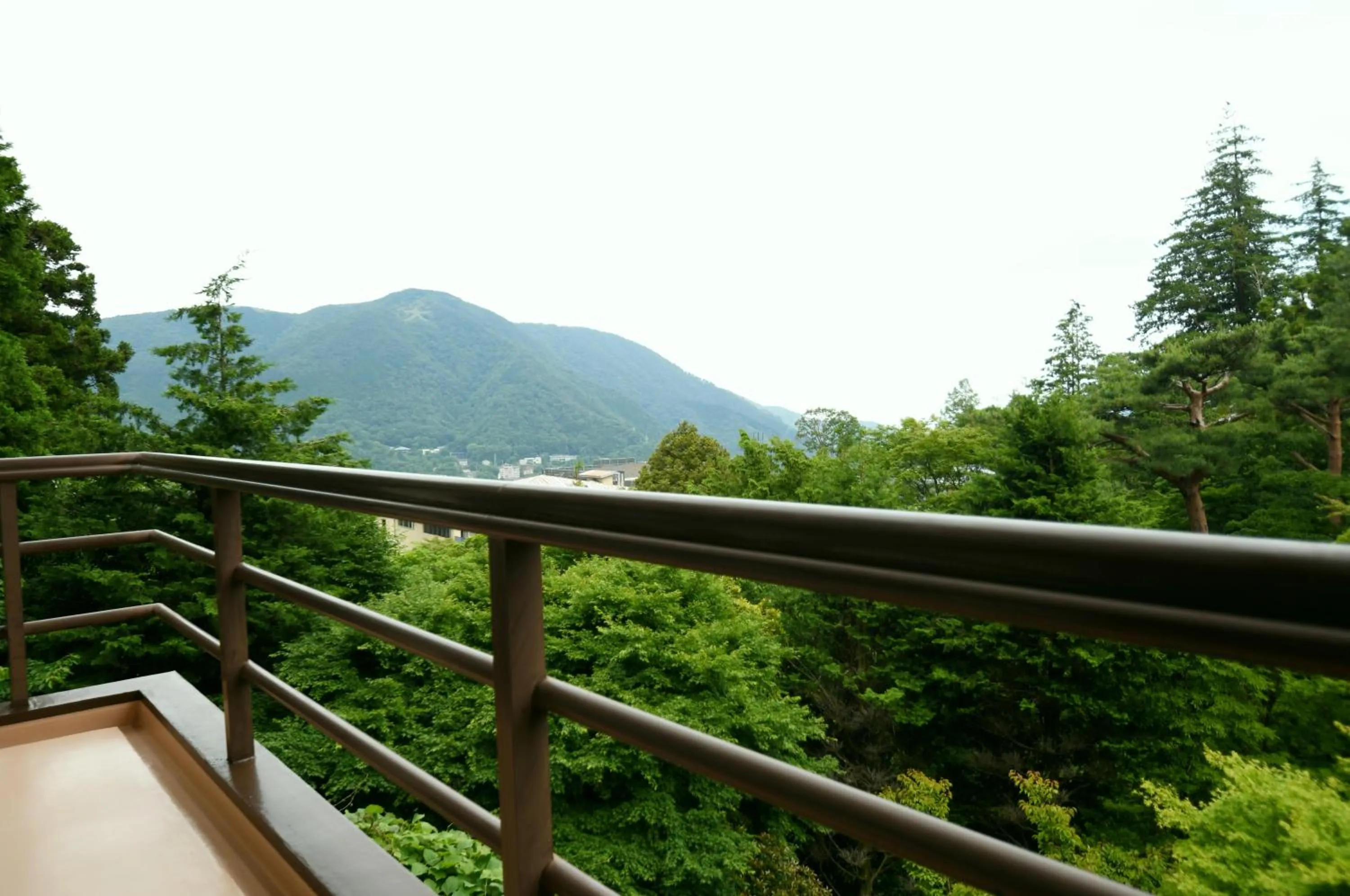 View (from property/room) in Hotel Marroad Hakone