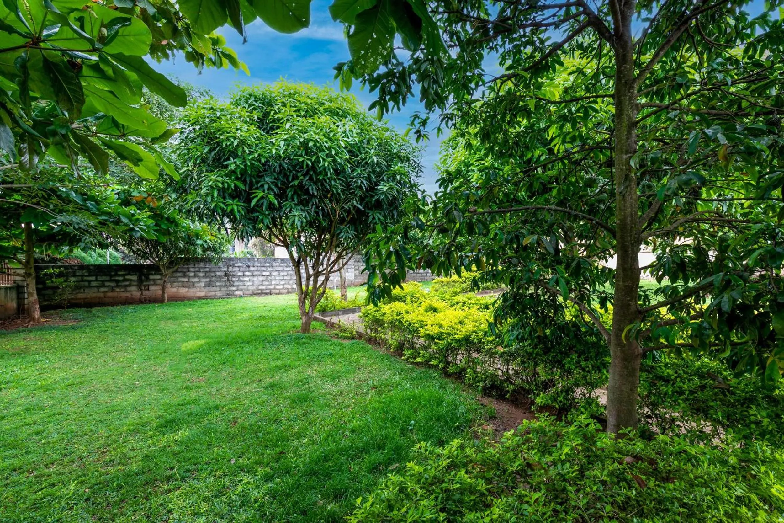 Garden in Airport Side Hotel Entebbe