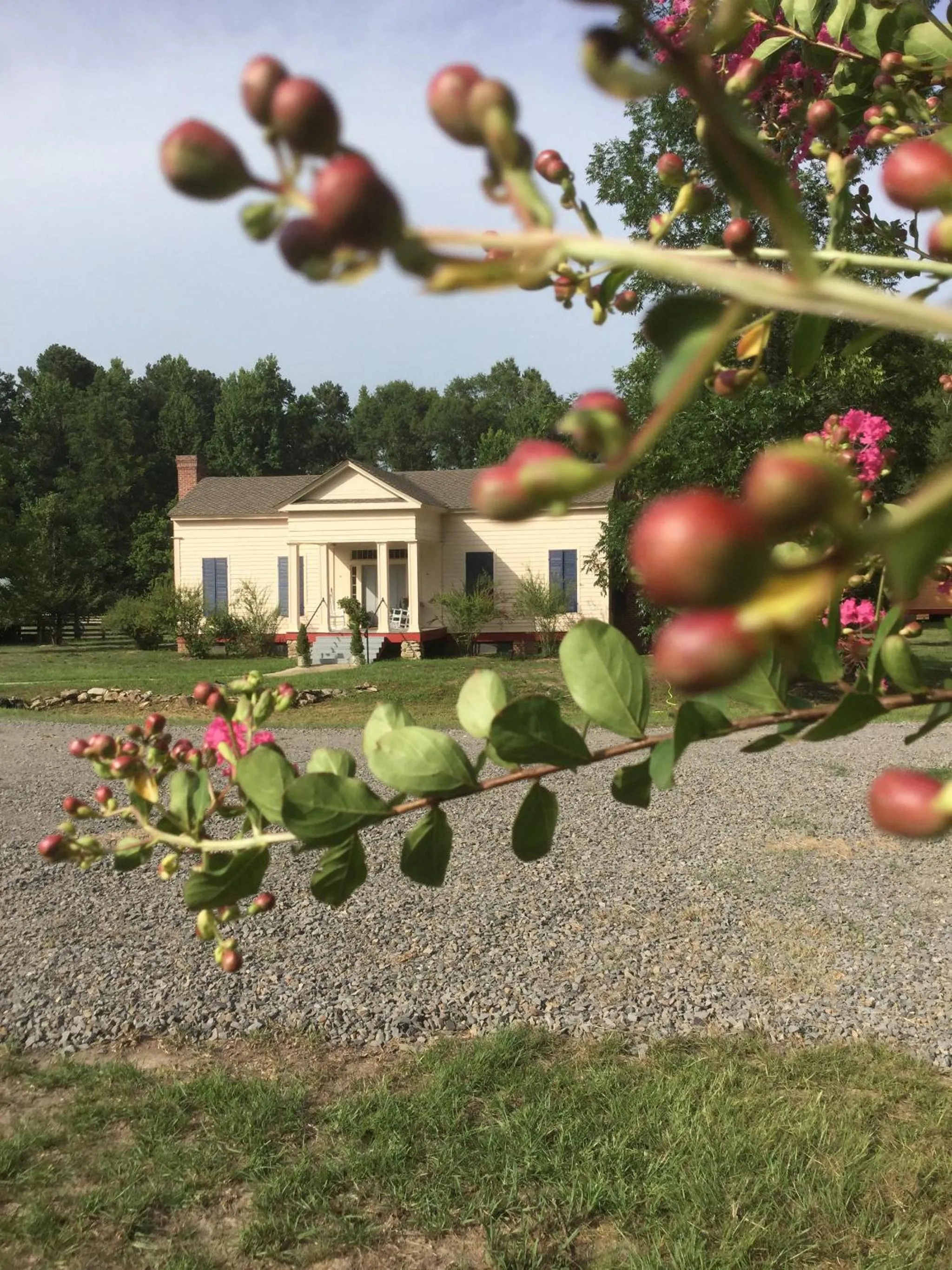 Property building in Coulter Farmstead