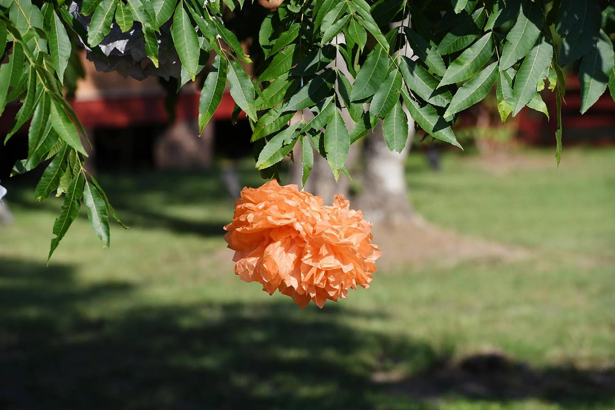 Property building in Coulter Farmstead