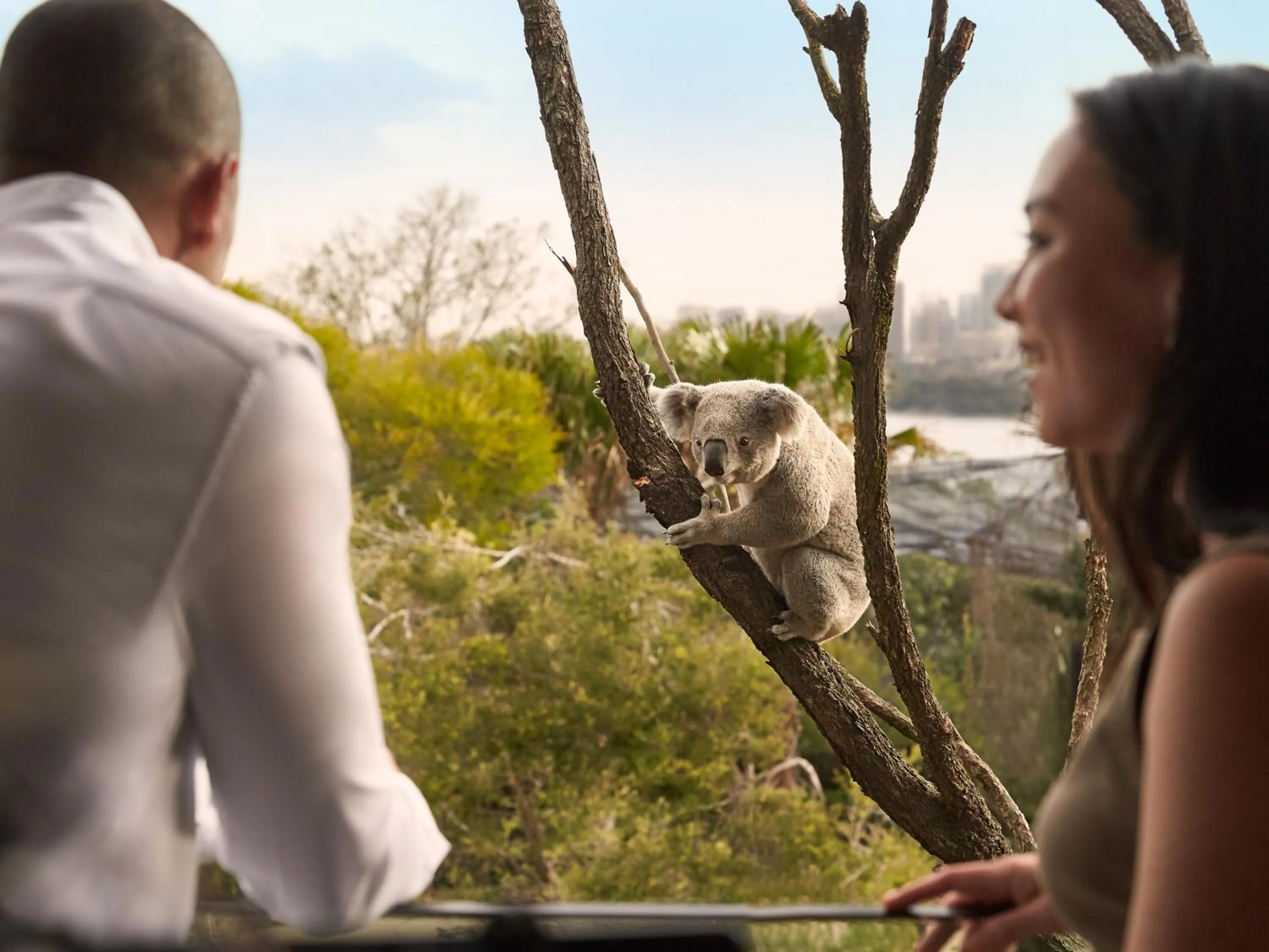 People in Wildlife Retreat at Taronga