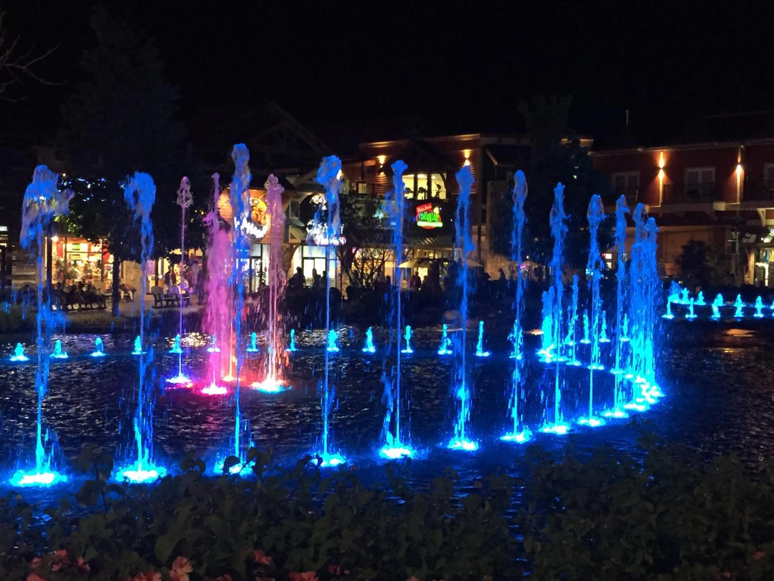 Cozy Bear, Free Attraction Tickets, Hot Tub, WIFI, Fireplace!!!