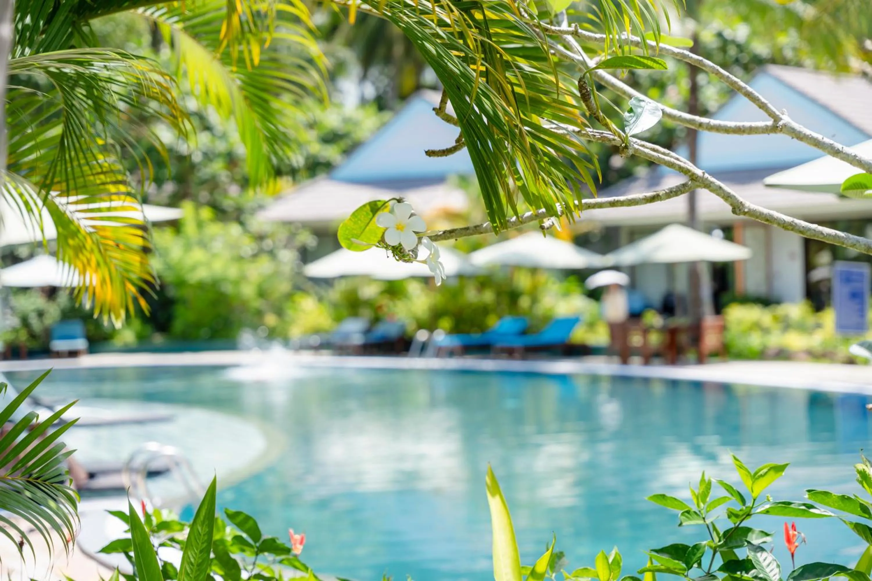 Natural landscape in Kingo Retreat Resort