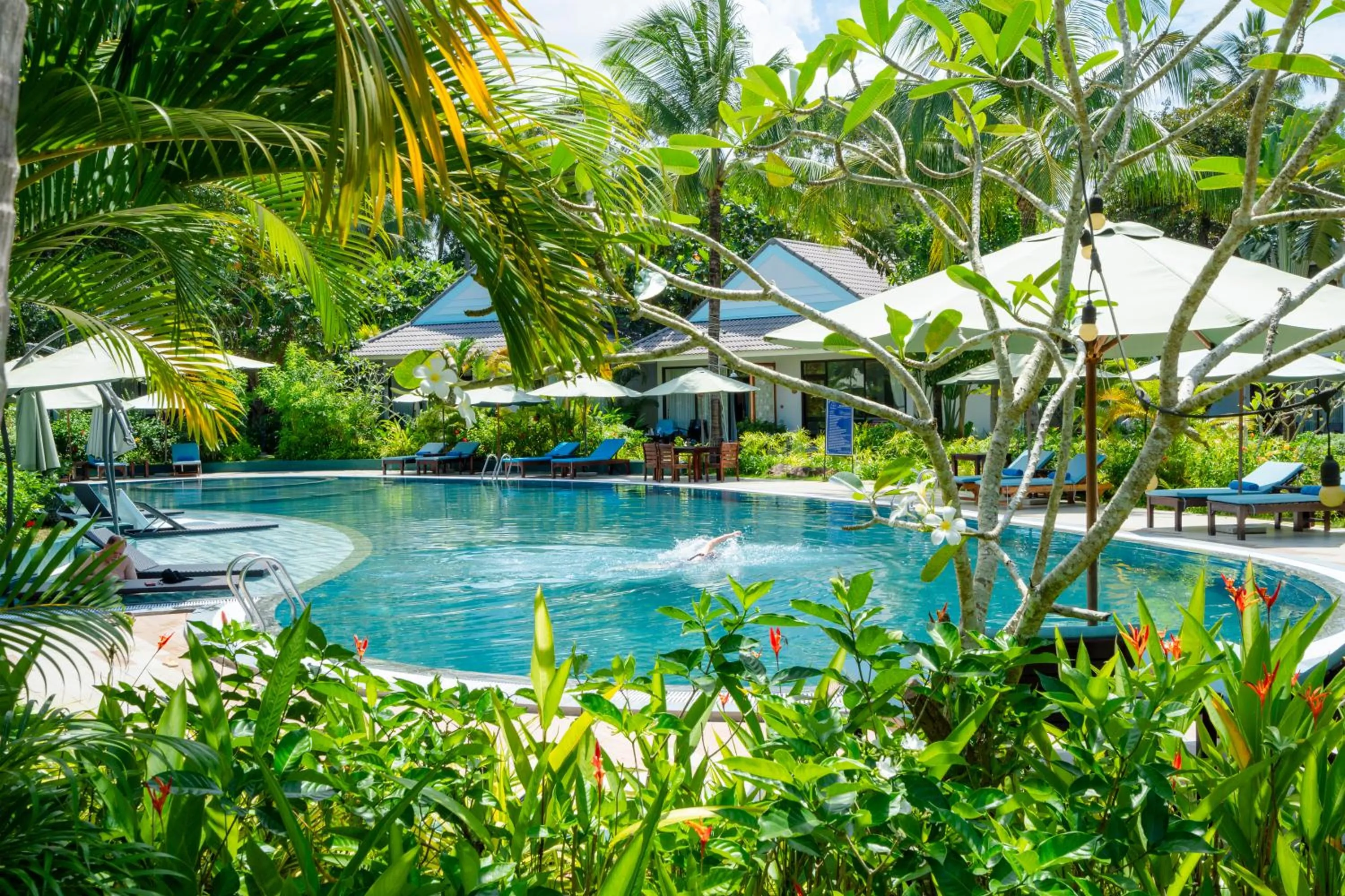 Pool view in Kingo Retreat Resort