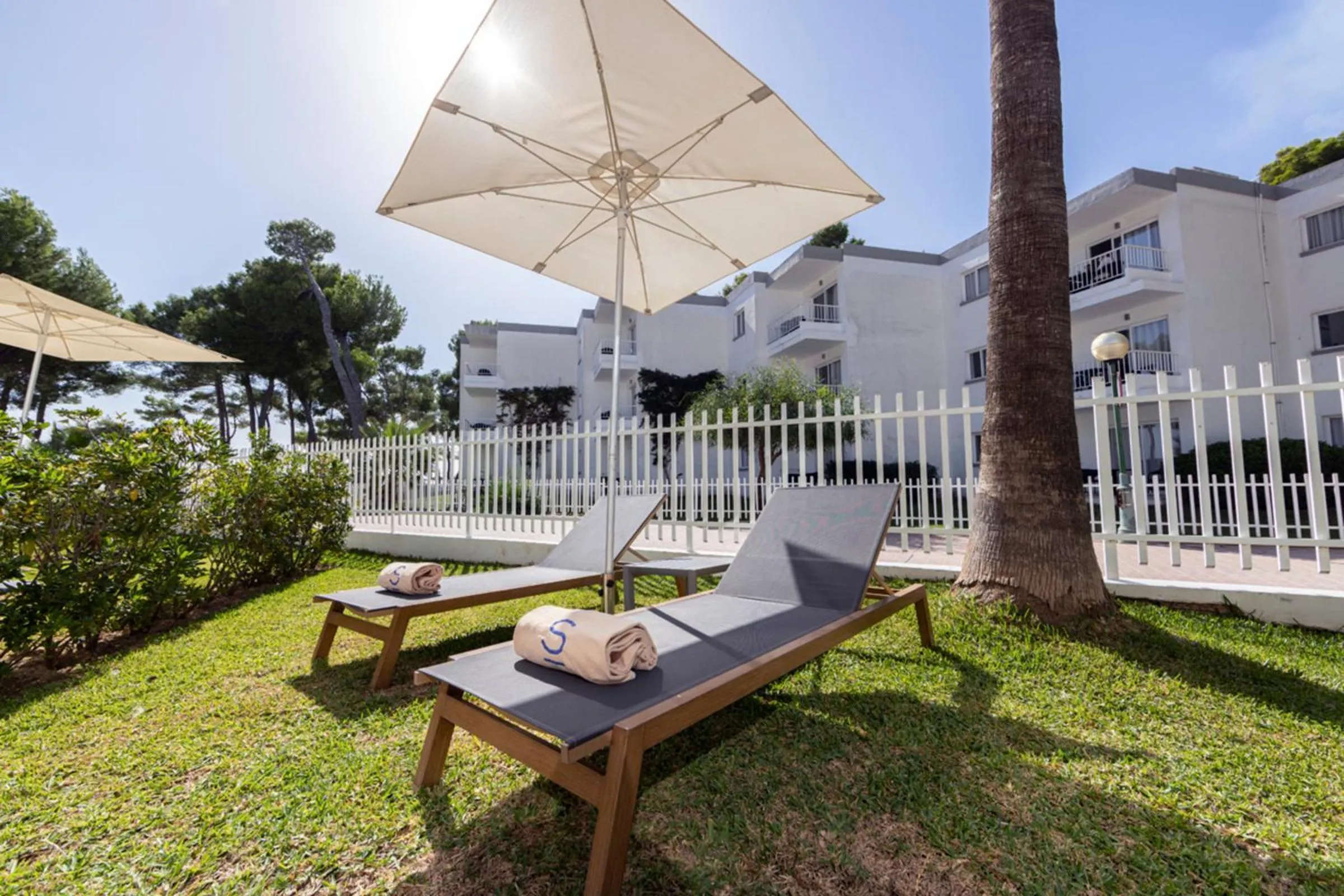 Junior Suite with Garden View in Sofia Alcudia Beach