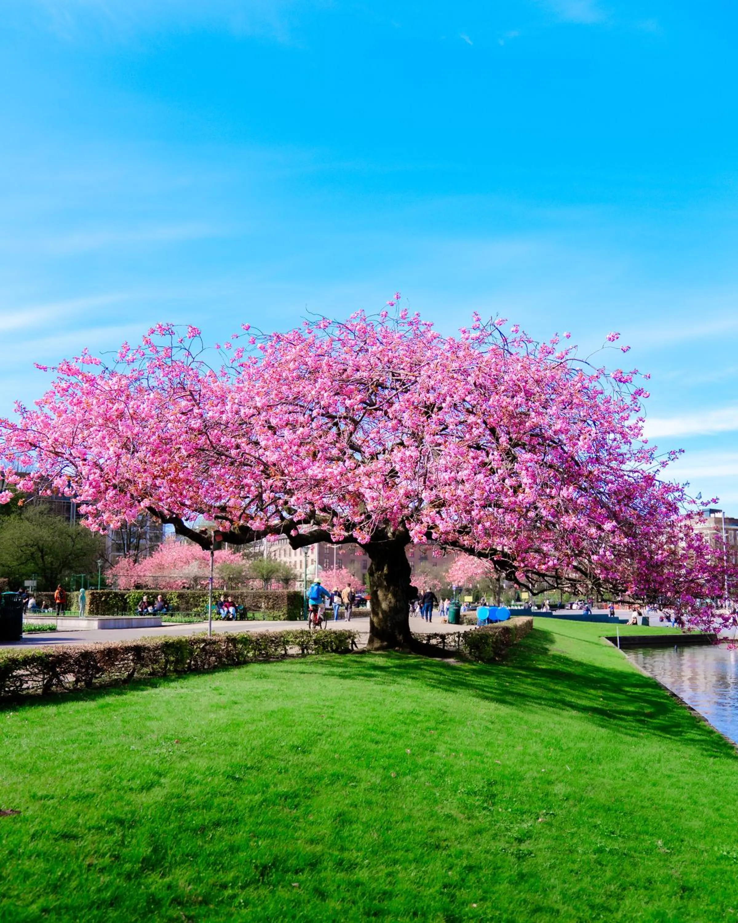 Neighbourhood in Hotel No13