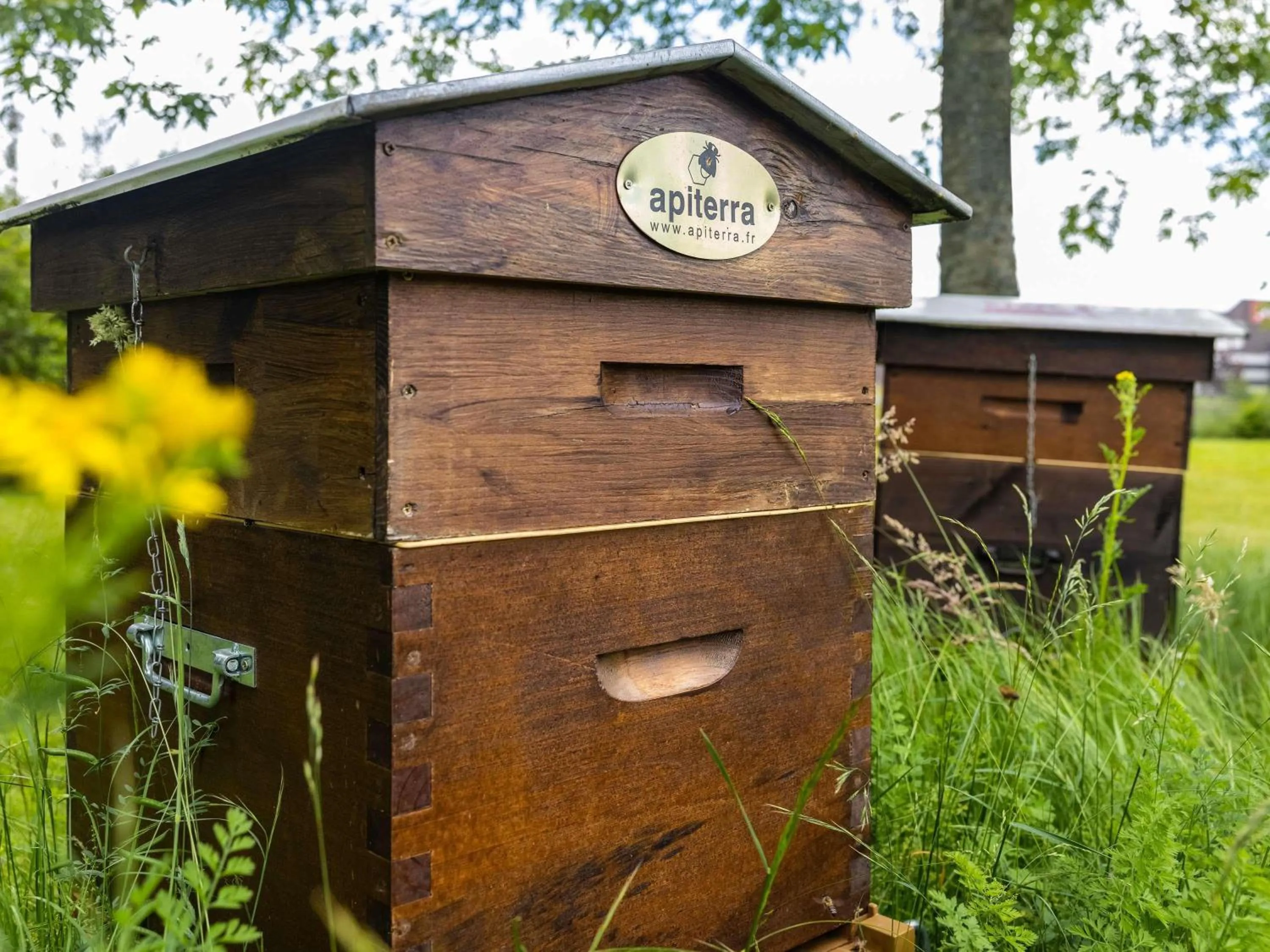 Other in ibis Metz Nord