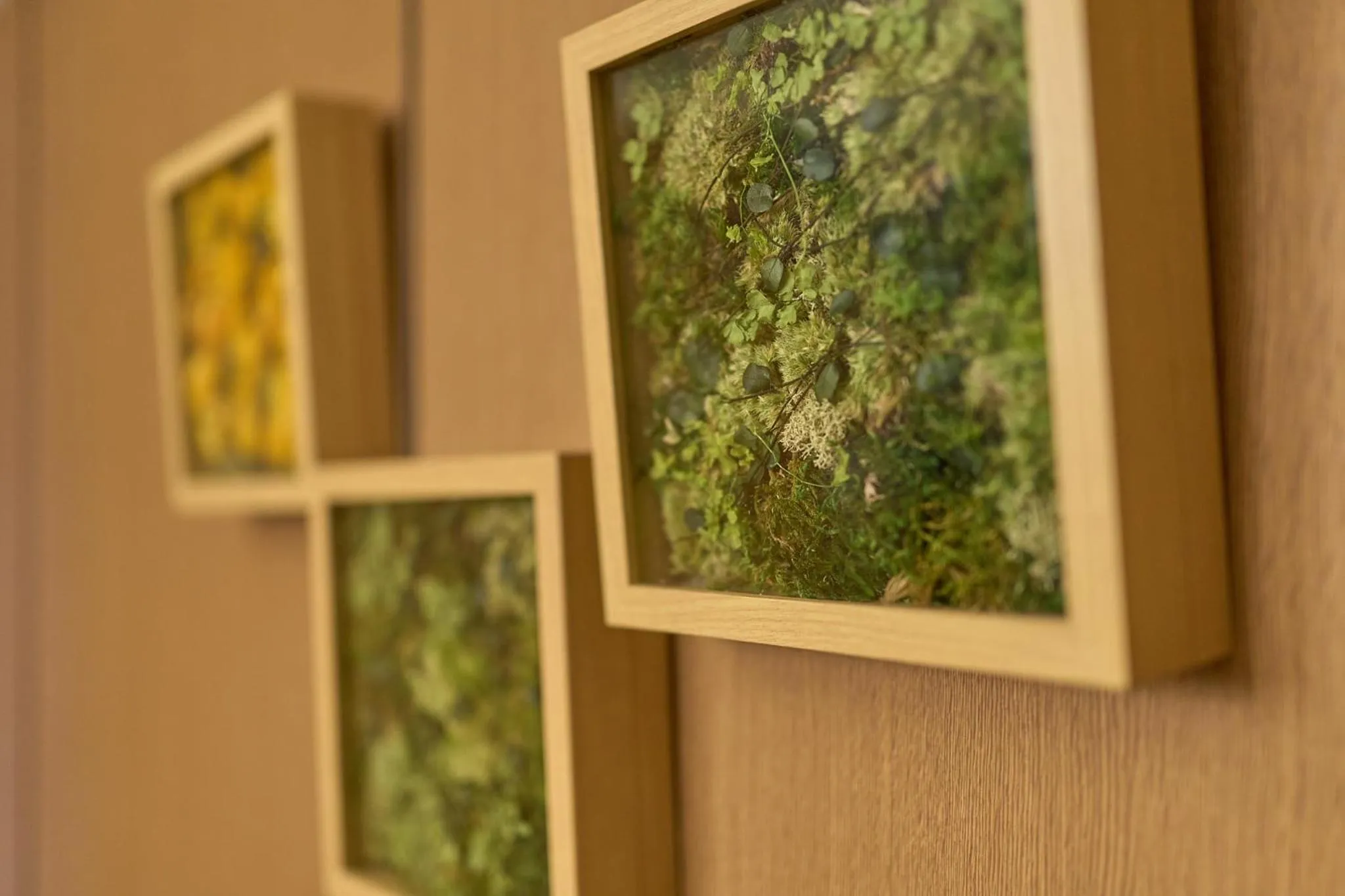 Living room in MATERIAL Fuchomae